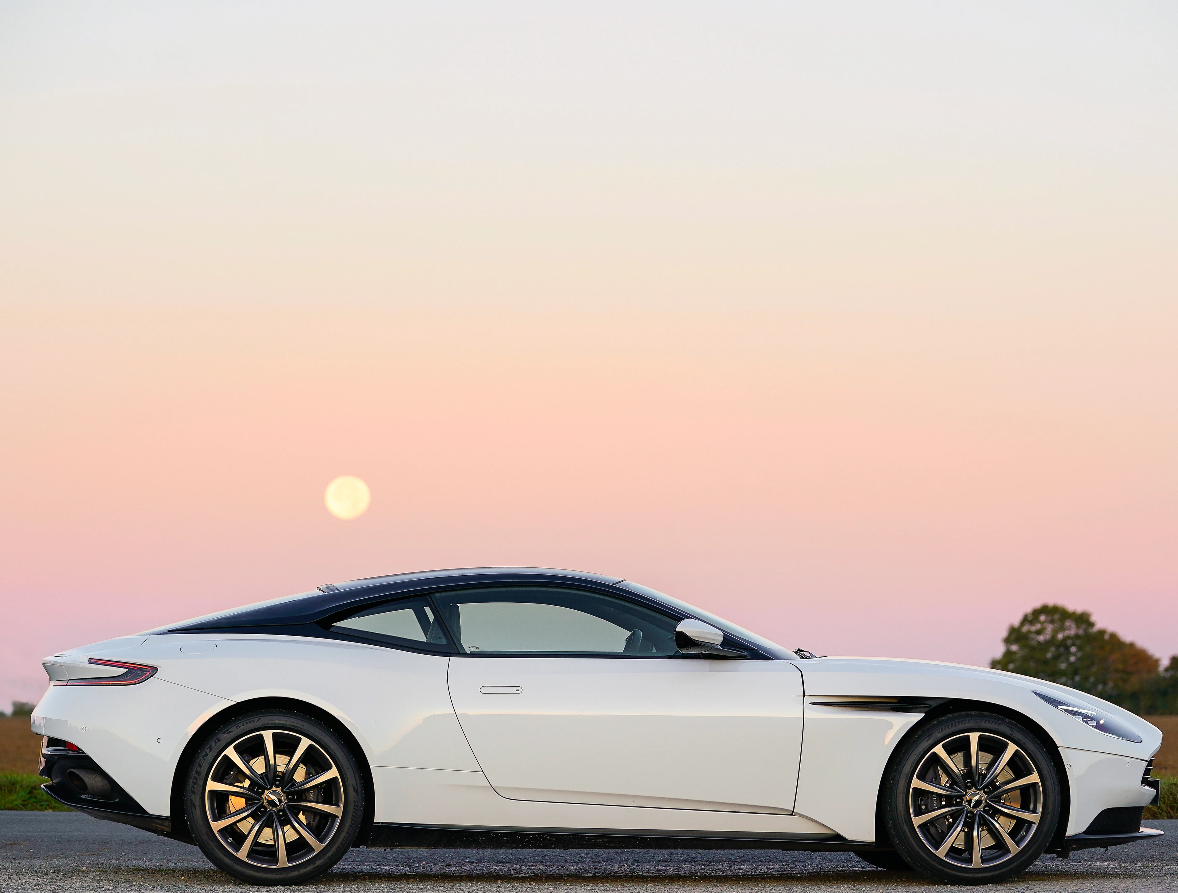Side Profile (Right)