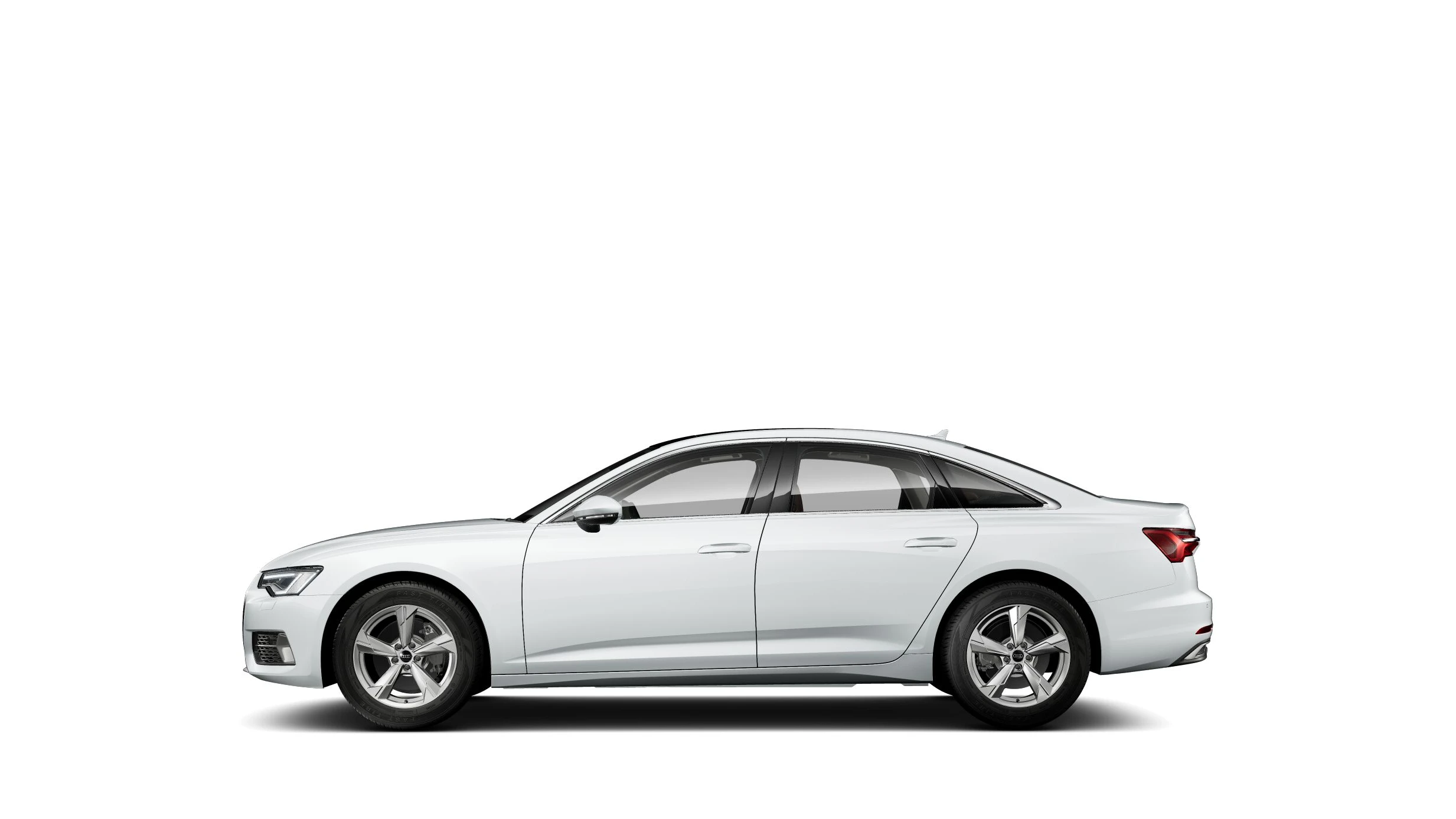 Side Profile (Left)