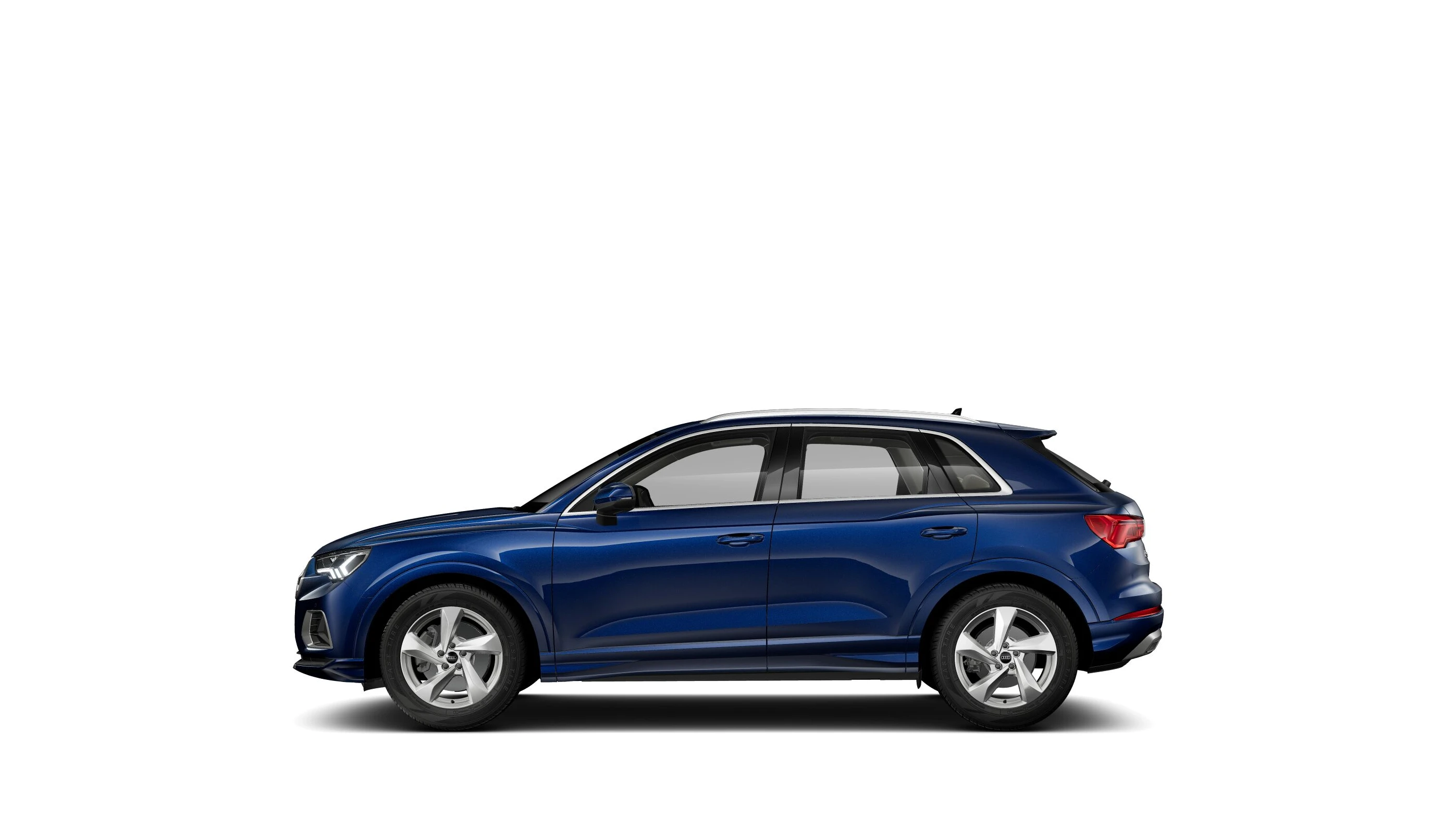 Side Profile (Left)