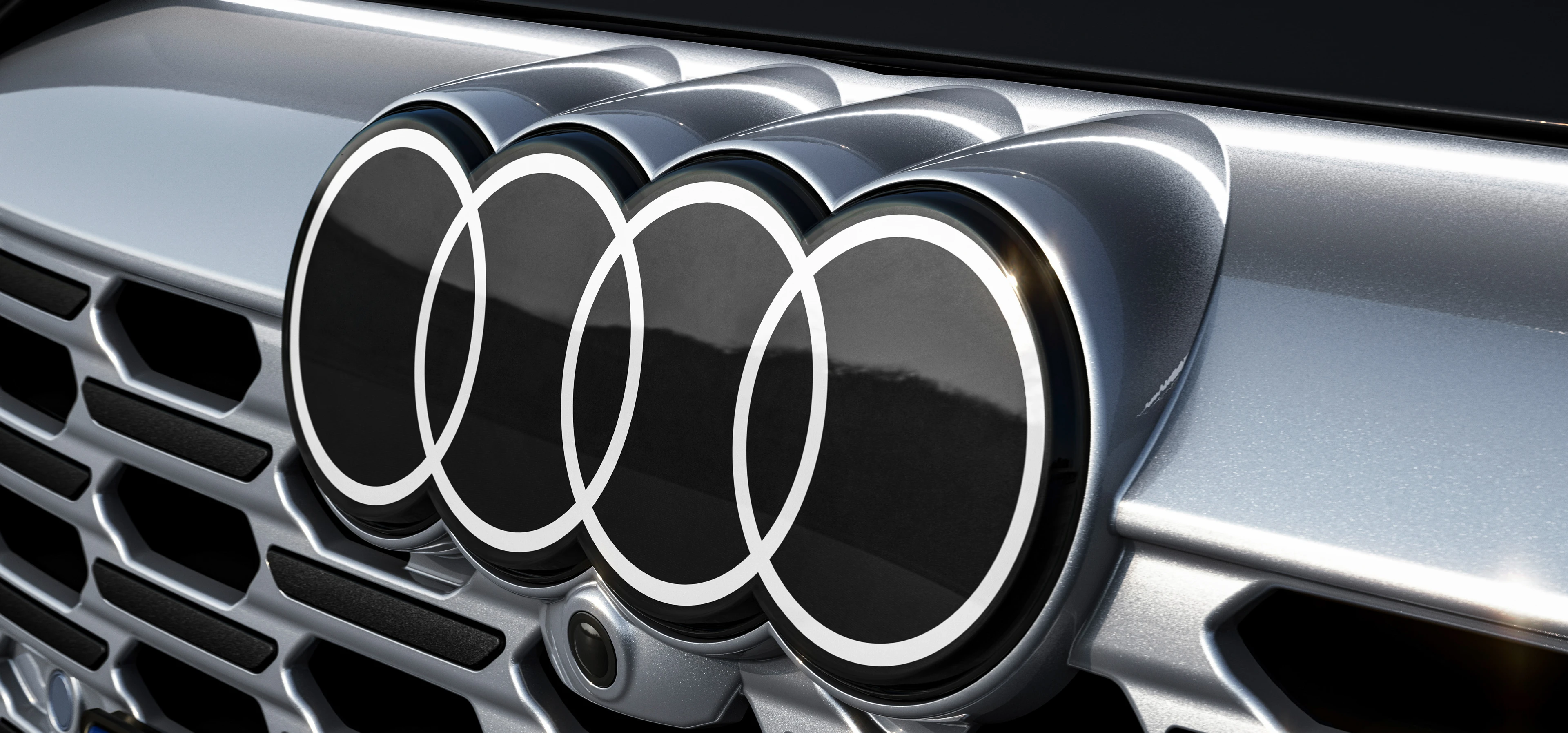 Singleframe Grille and Audi Rings