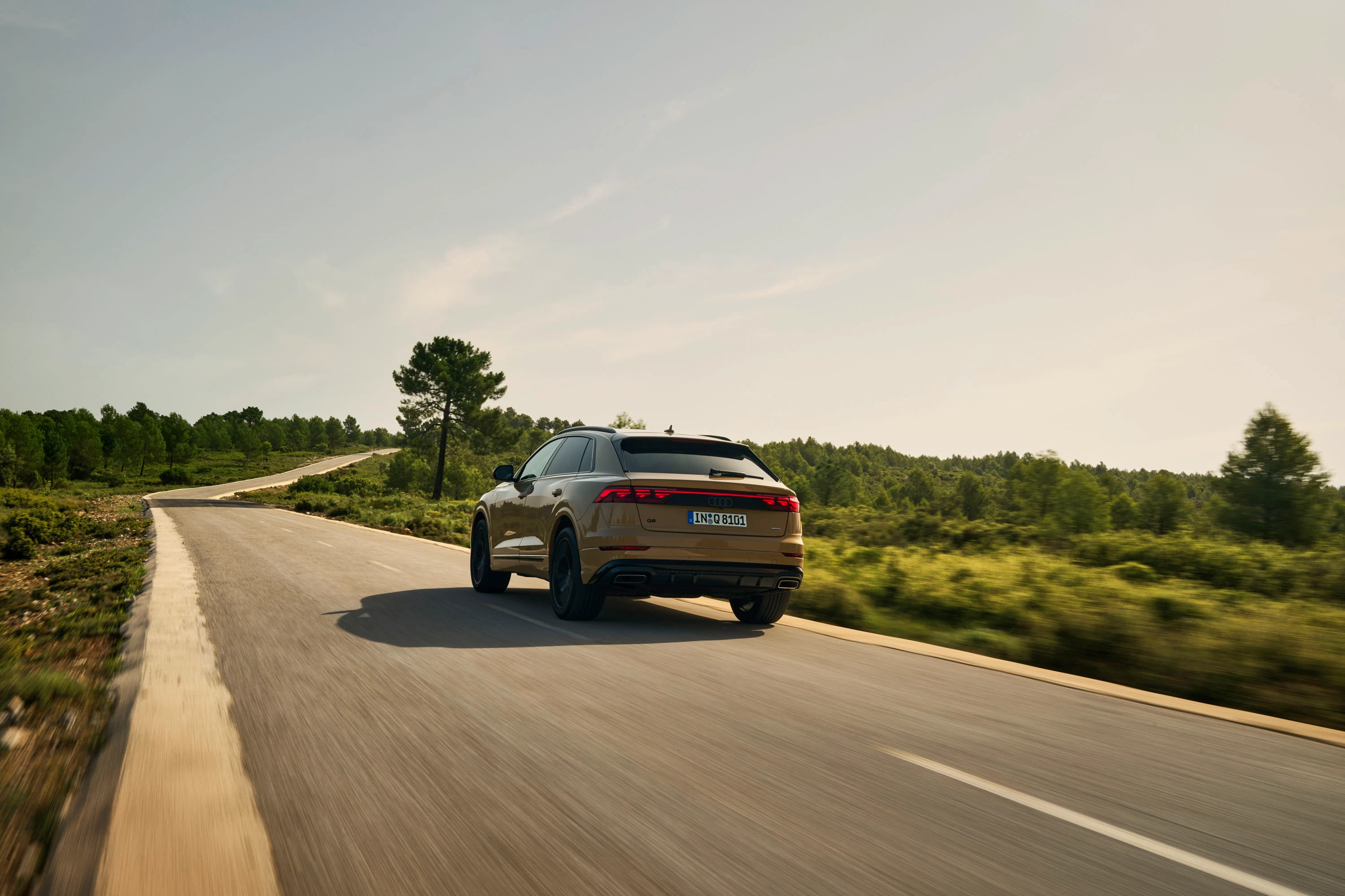 Rear View (Driving)