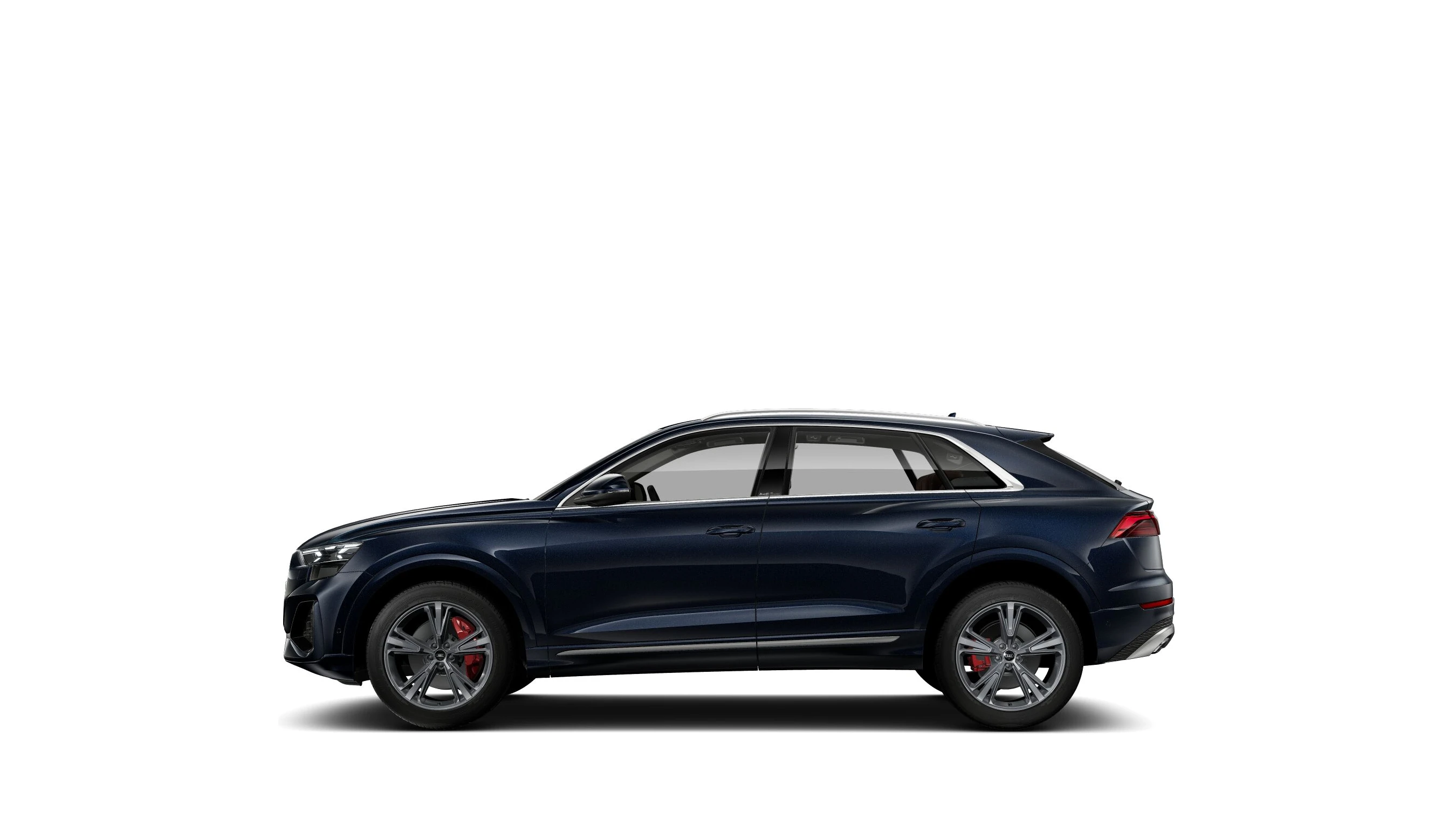 Side Profile (Left)