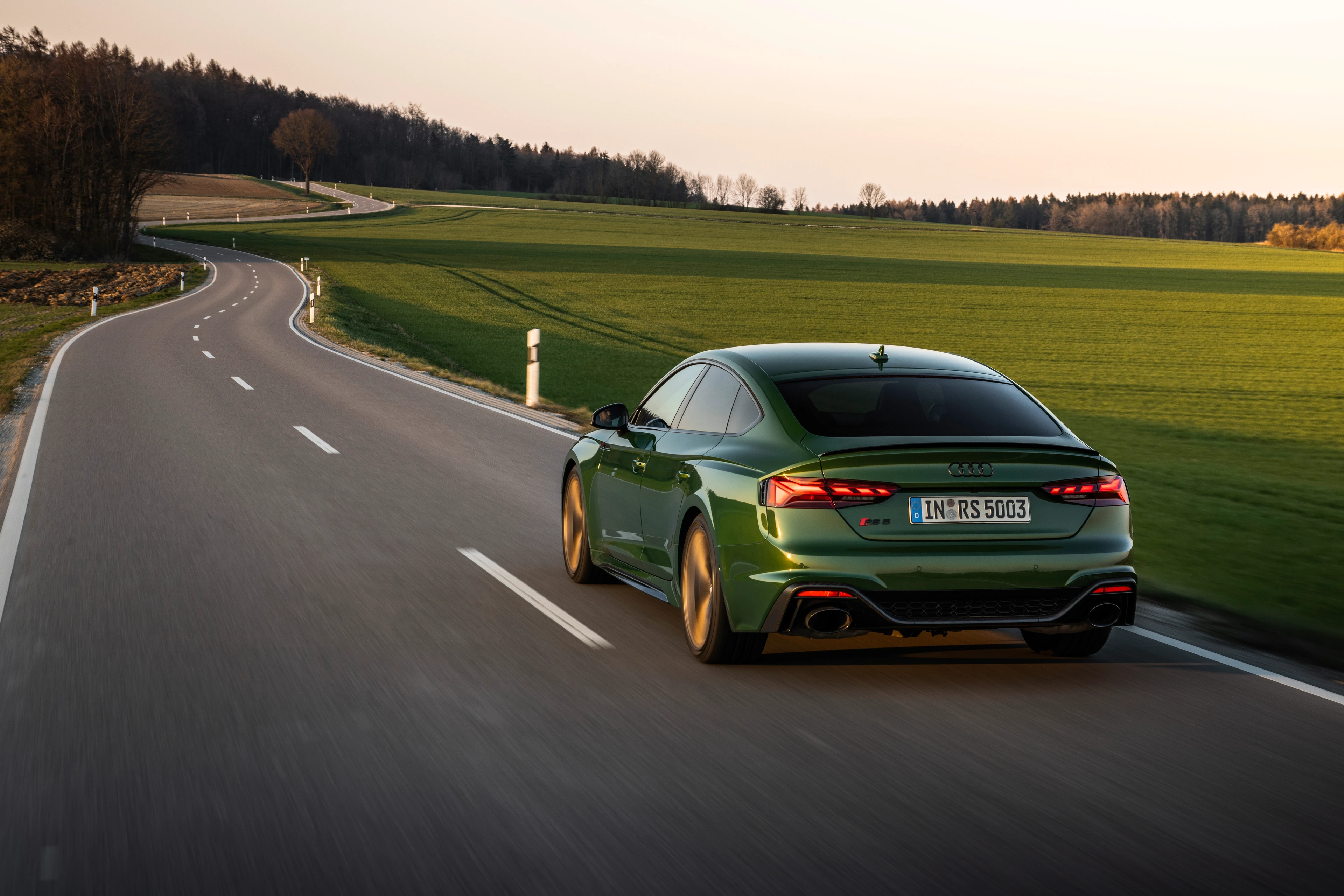 Rear View (Driving)