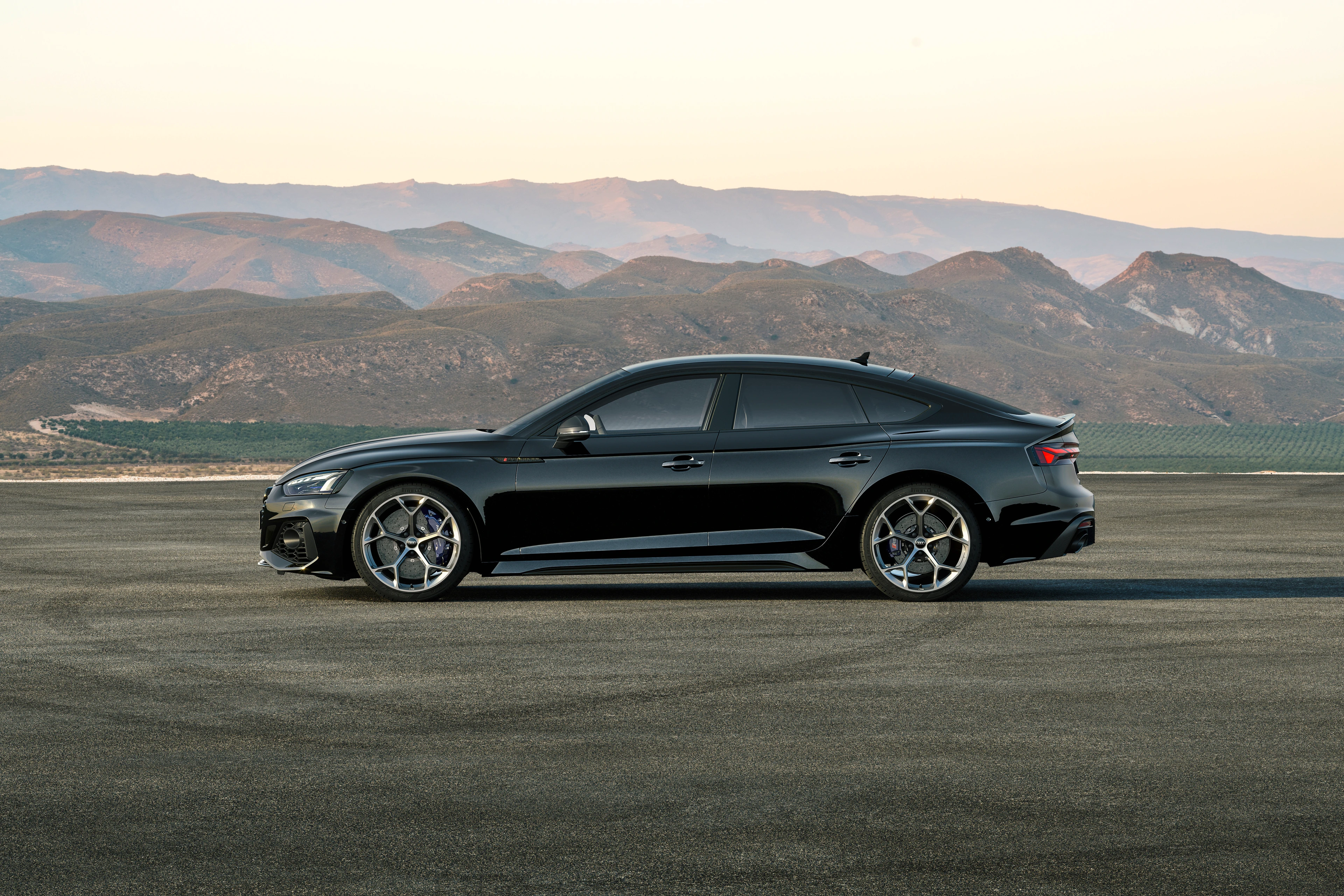 Side Profile (Left)