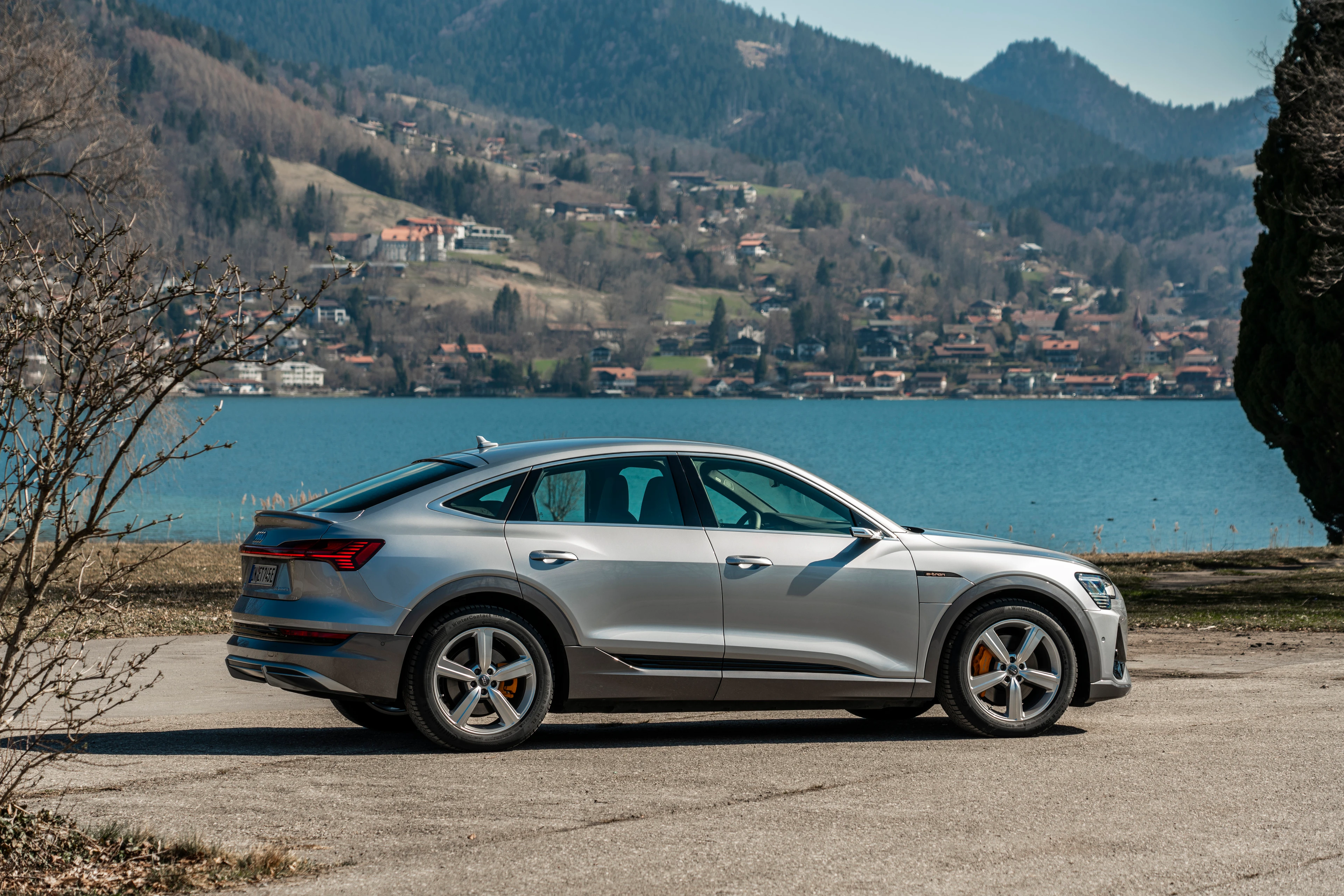 Side Profile (Right)