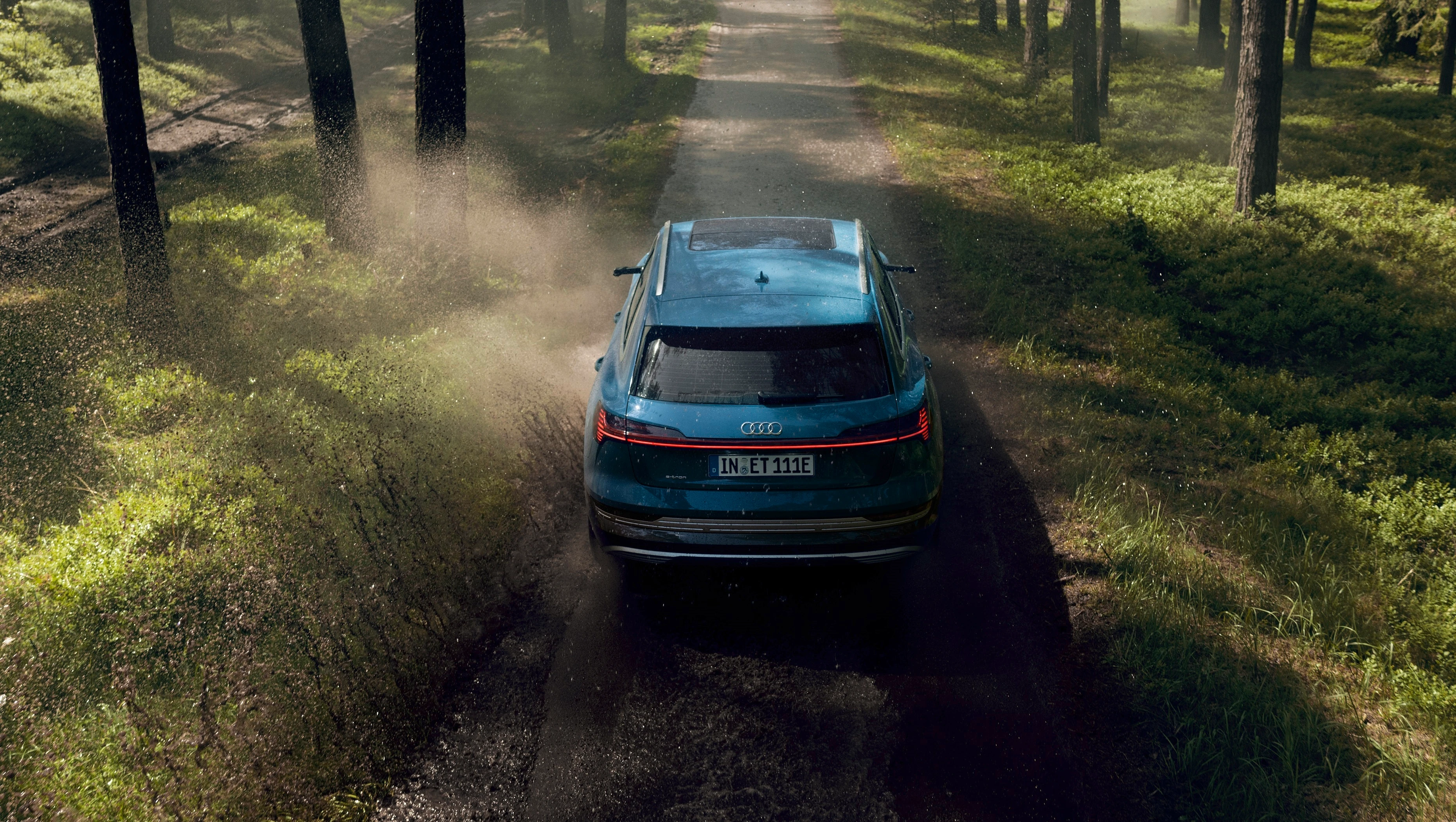 Rear View (Driving)