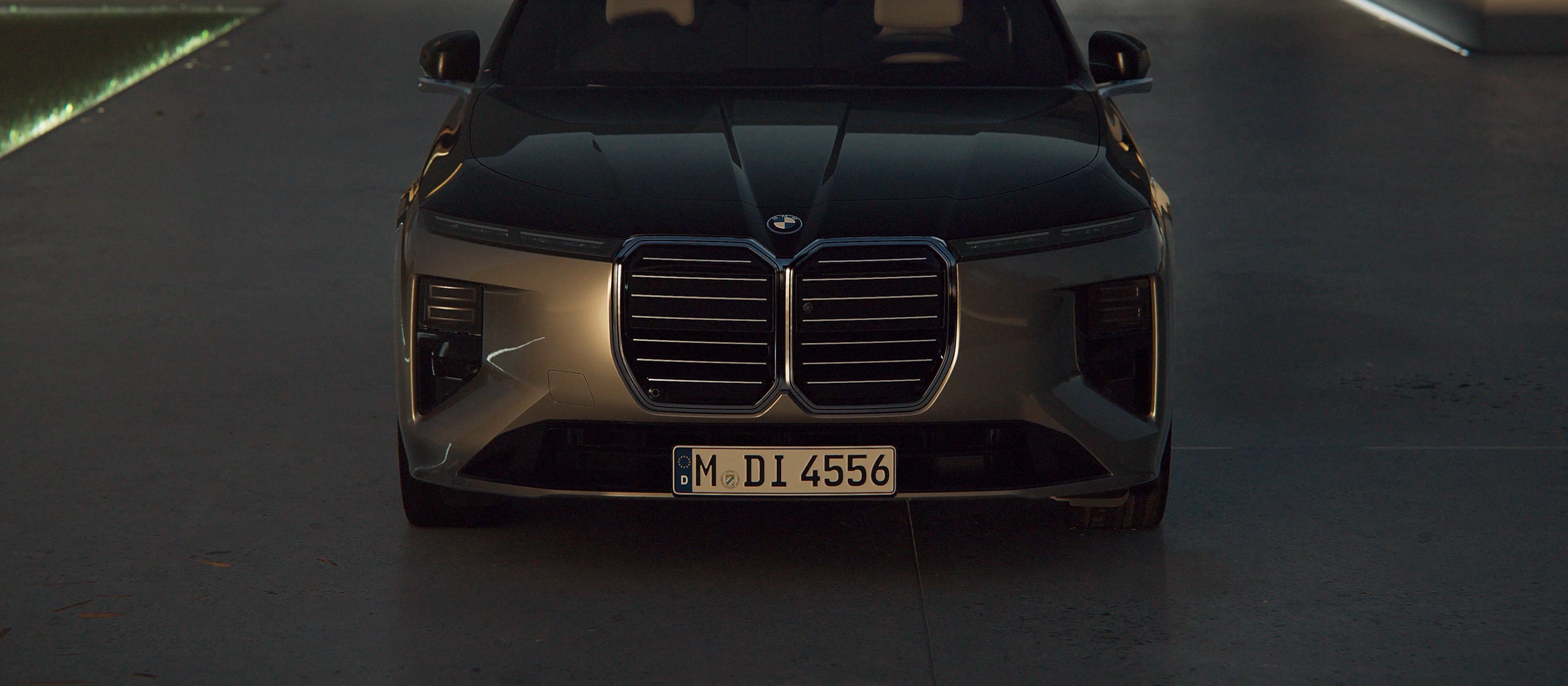 Illuminated Kidney Grille