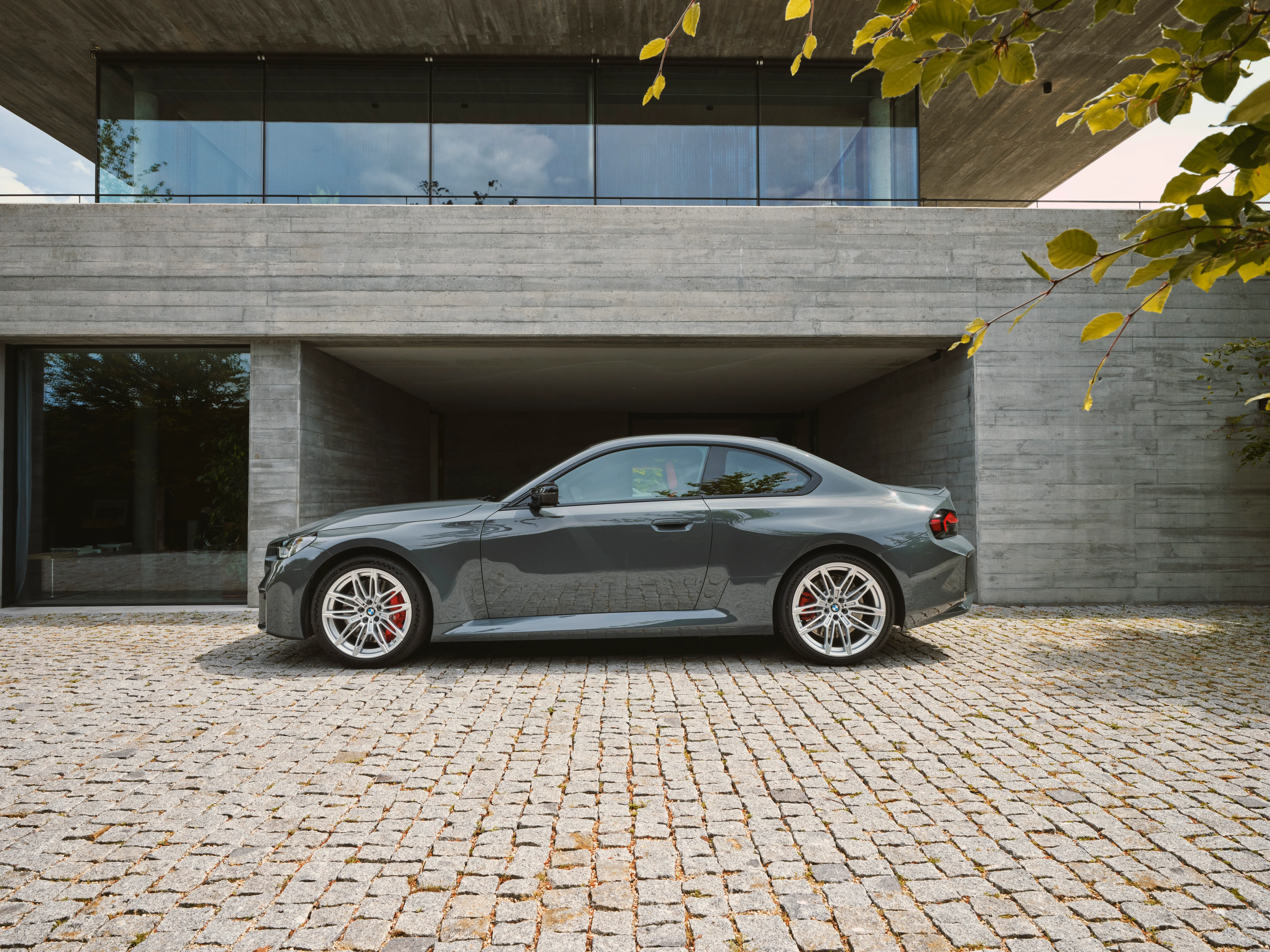 Side Profile (Right)