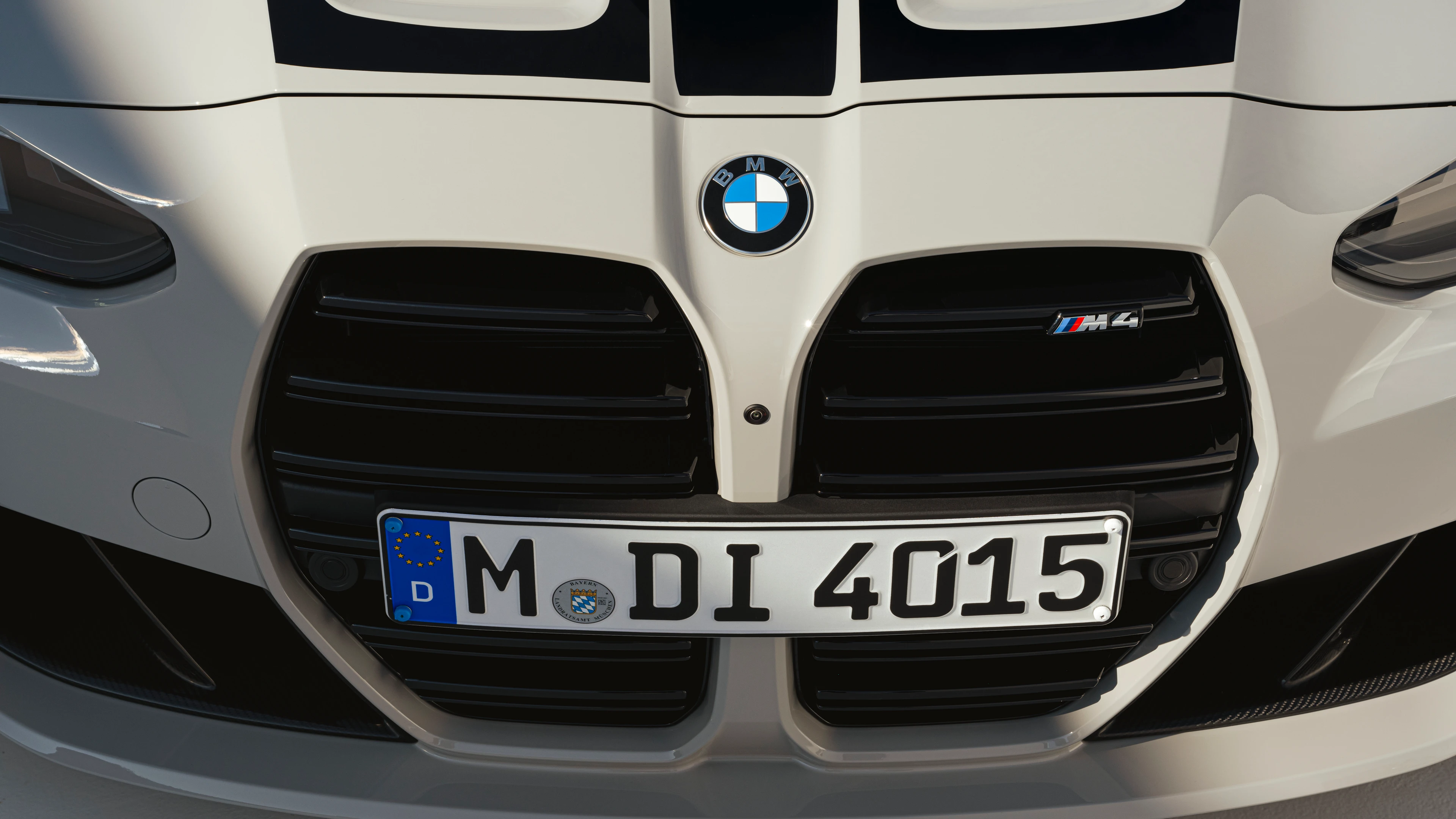 Kidney Grille and Bonnet Stripes