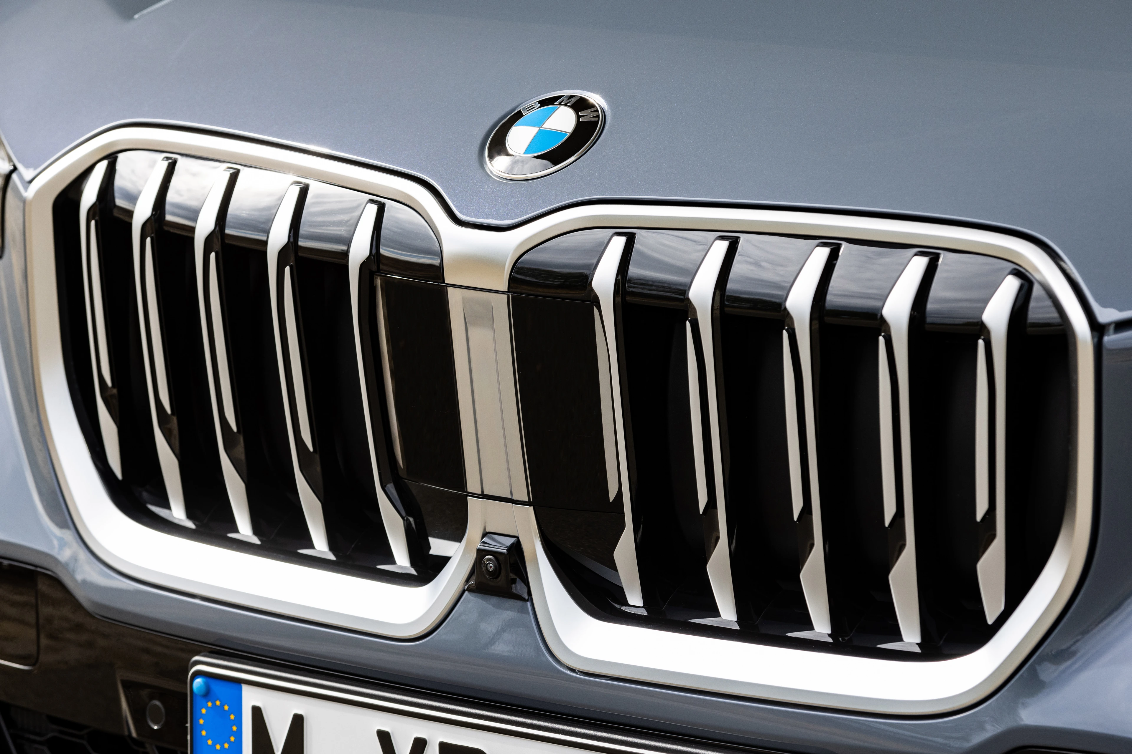 Kidney Grille