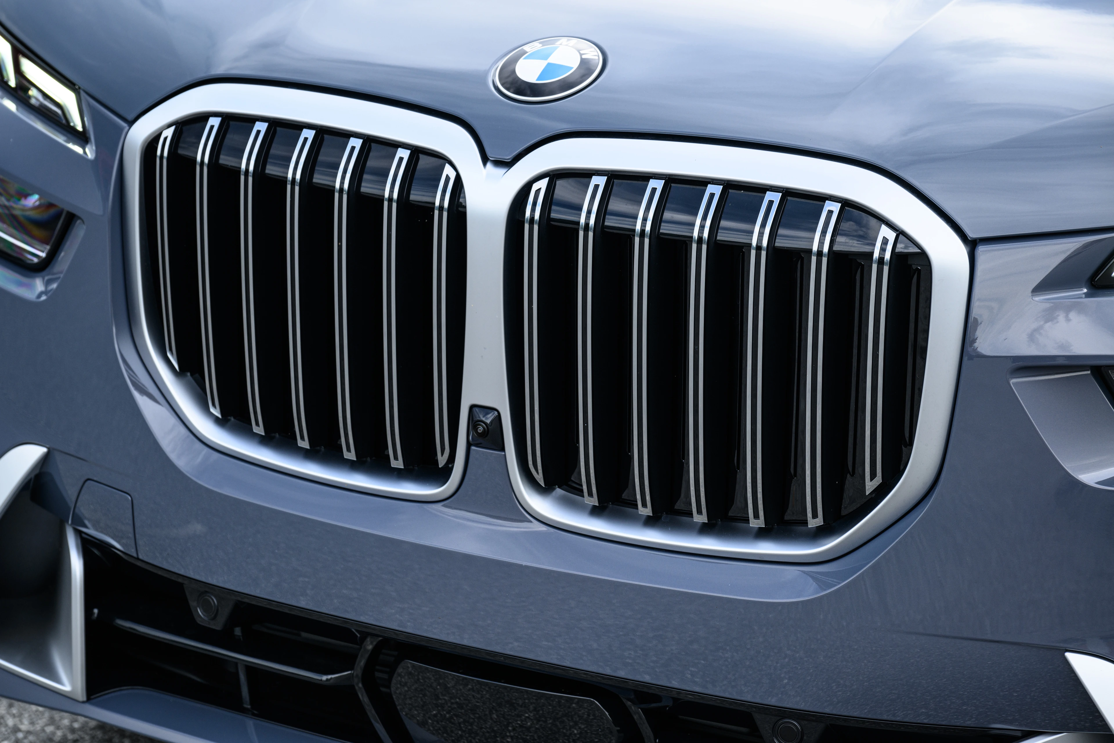 Illuminated Kidney Grille