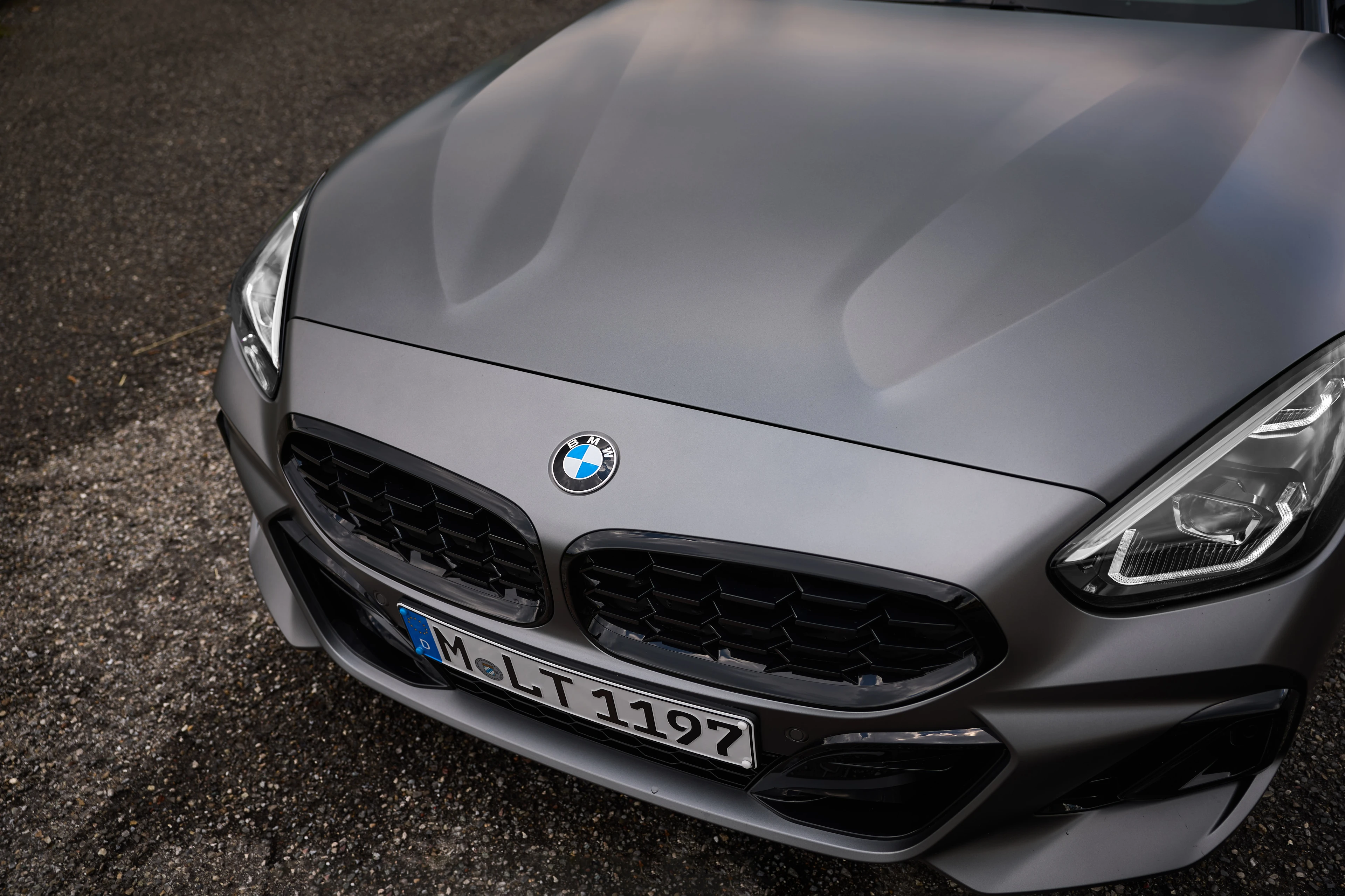 Kidney Grille and Headlamp