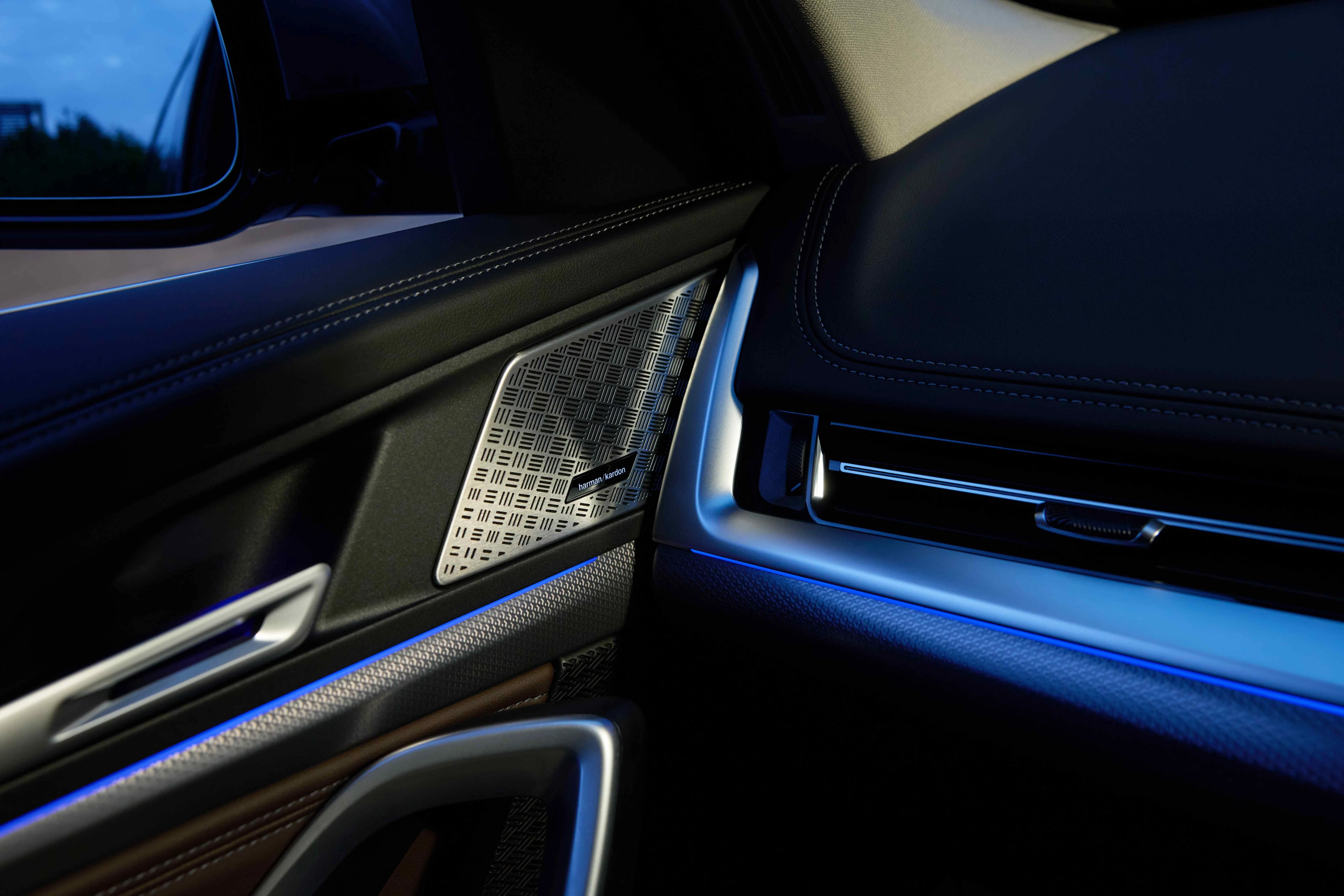 Door Trim and Ambient Light