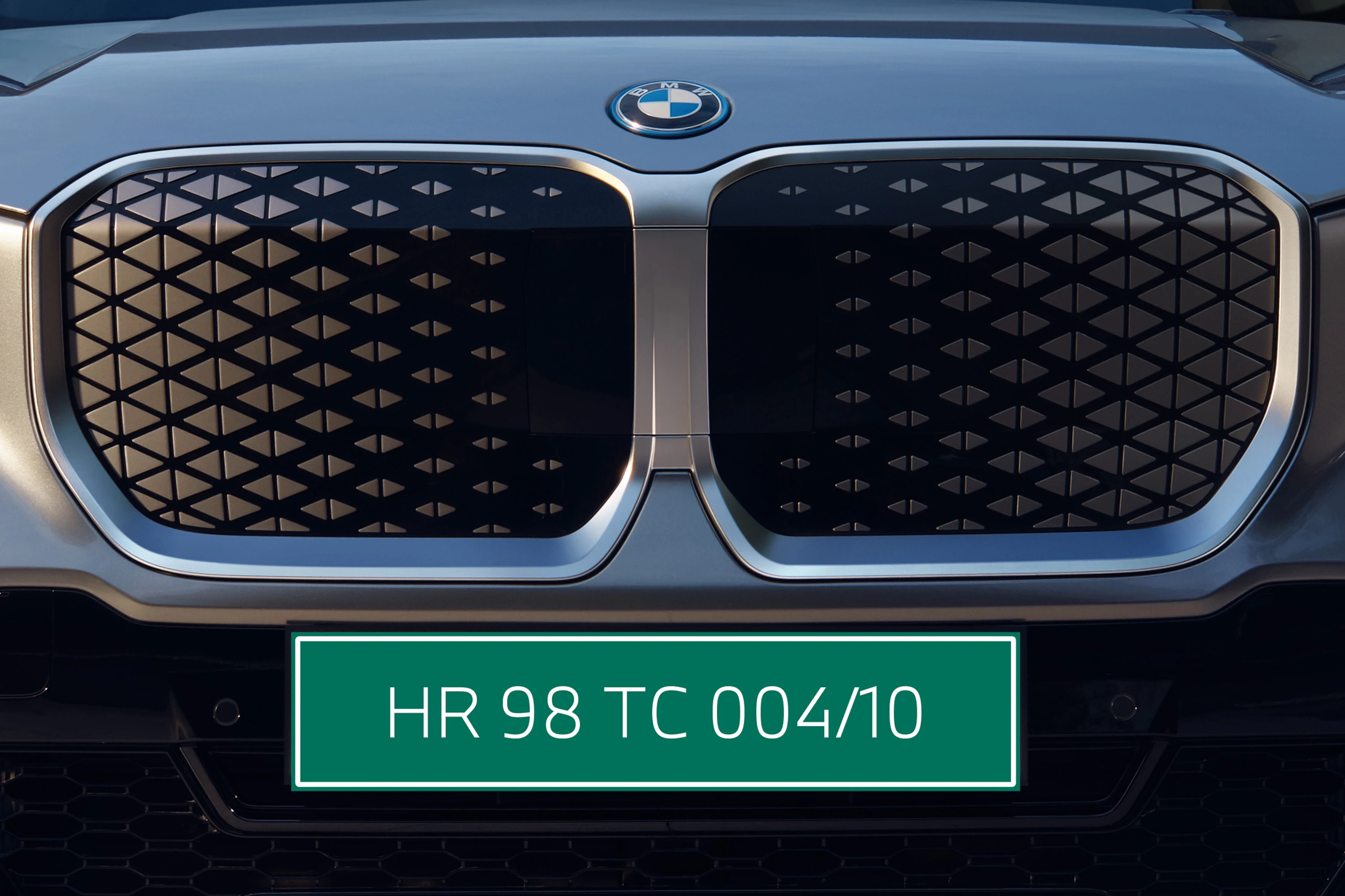 Kidney Grille