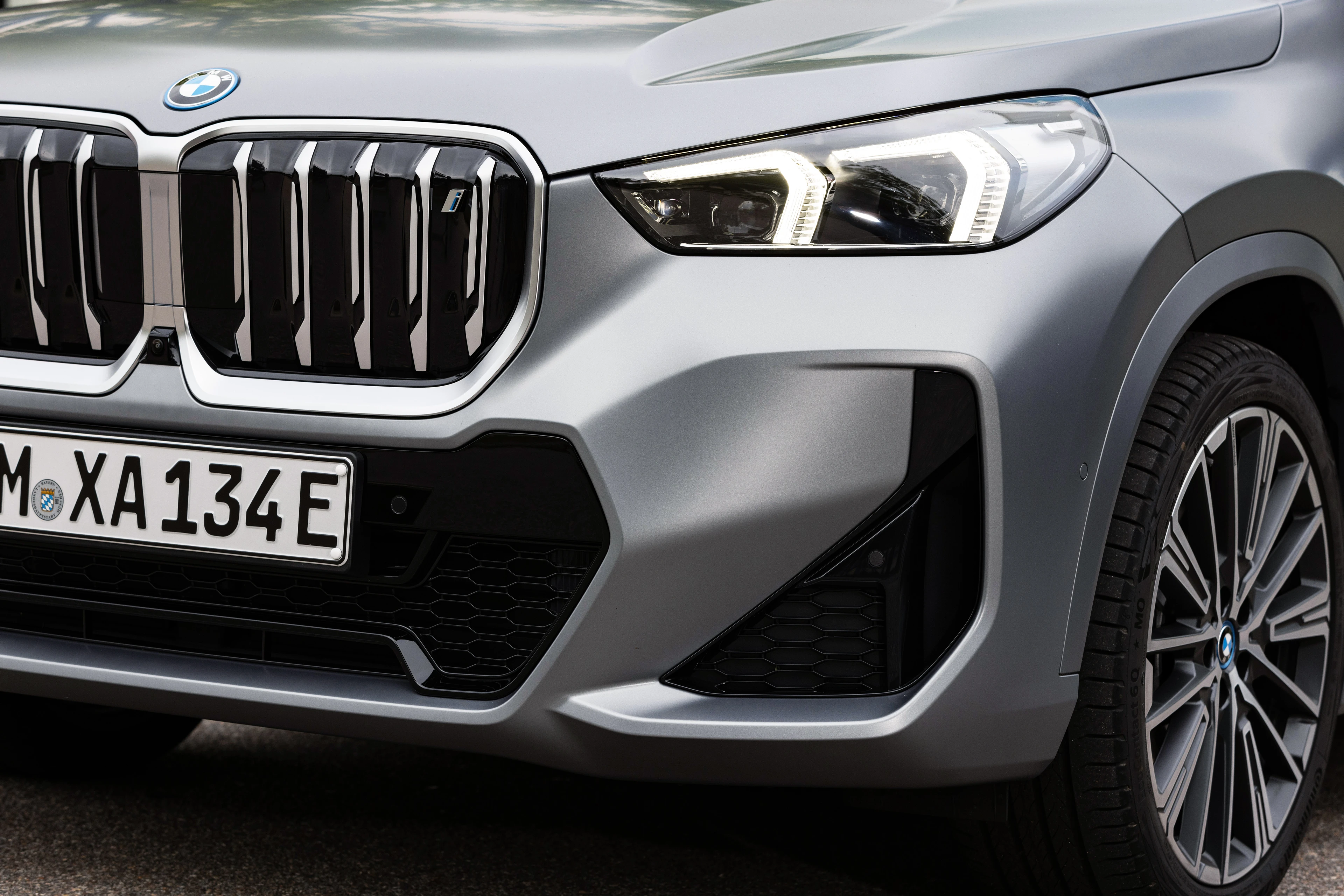 Kidney Grille and Headlamp