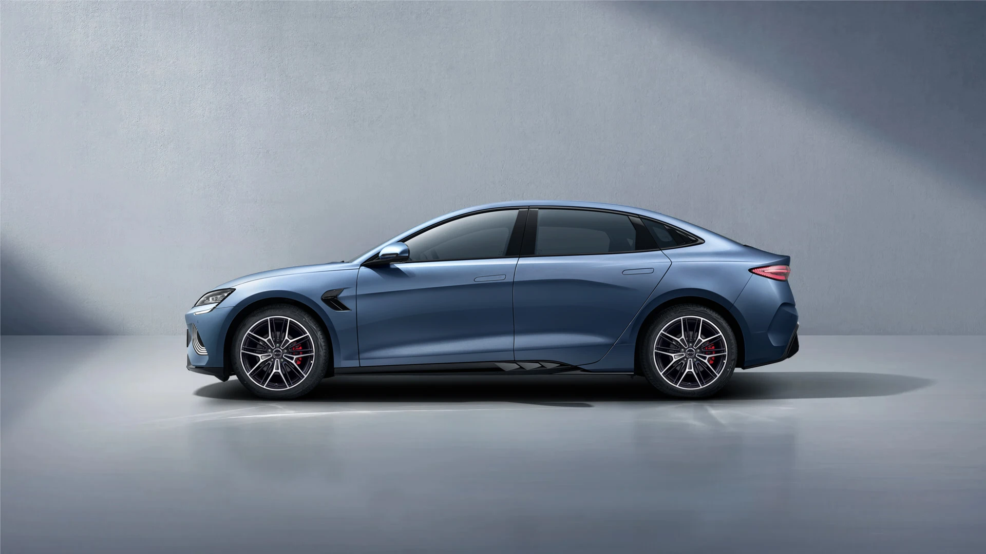 Side Profile (Left)