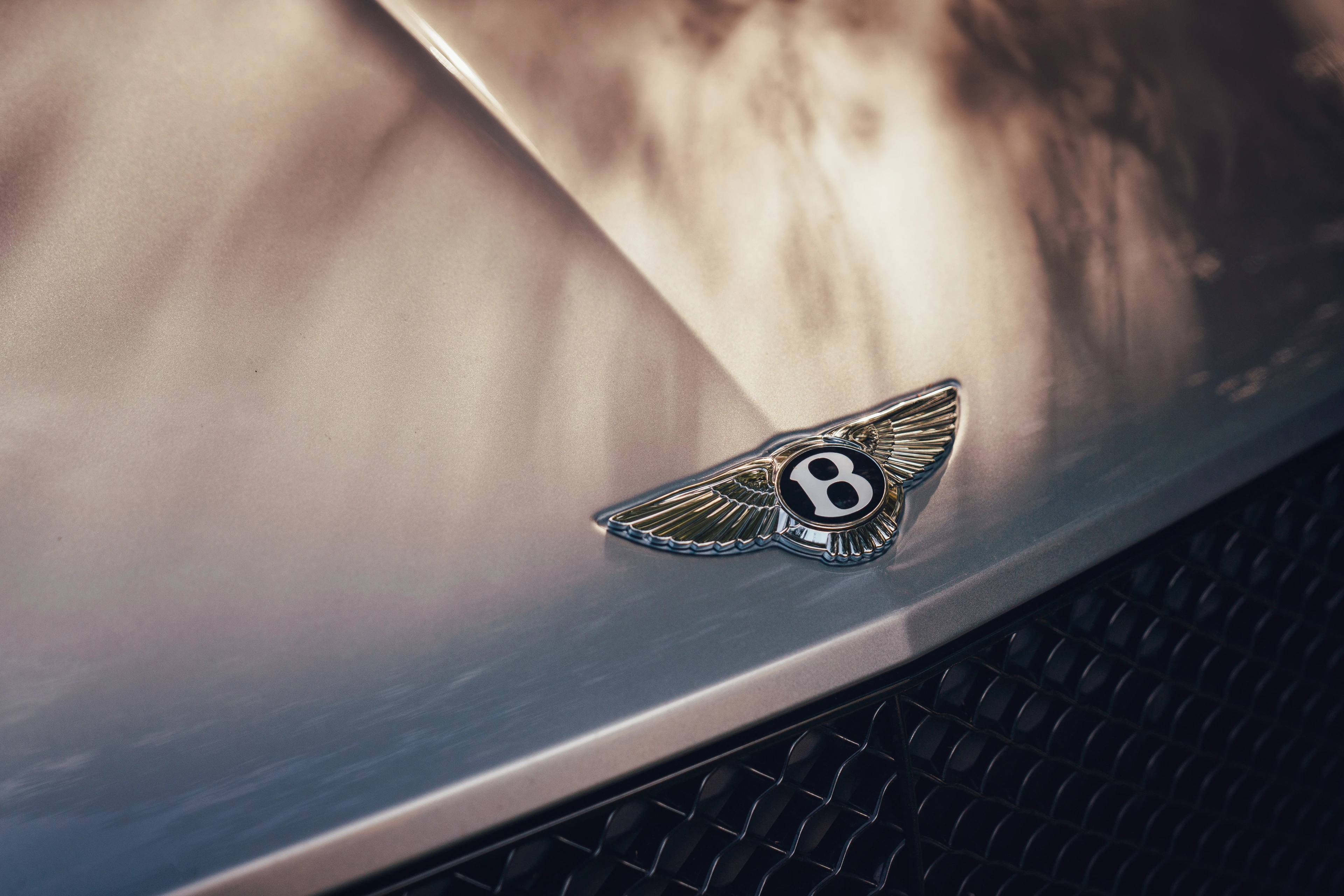Bonnet Badge and Matrix Grille