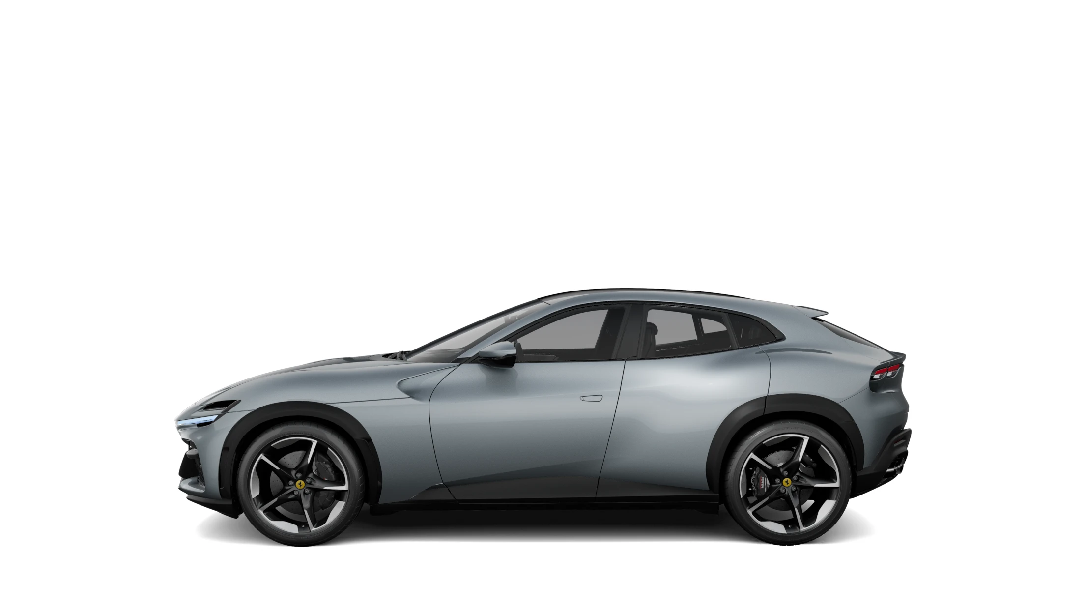 Side Profile (Left)