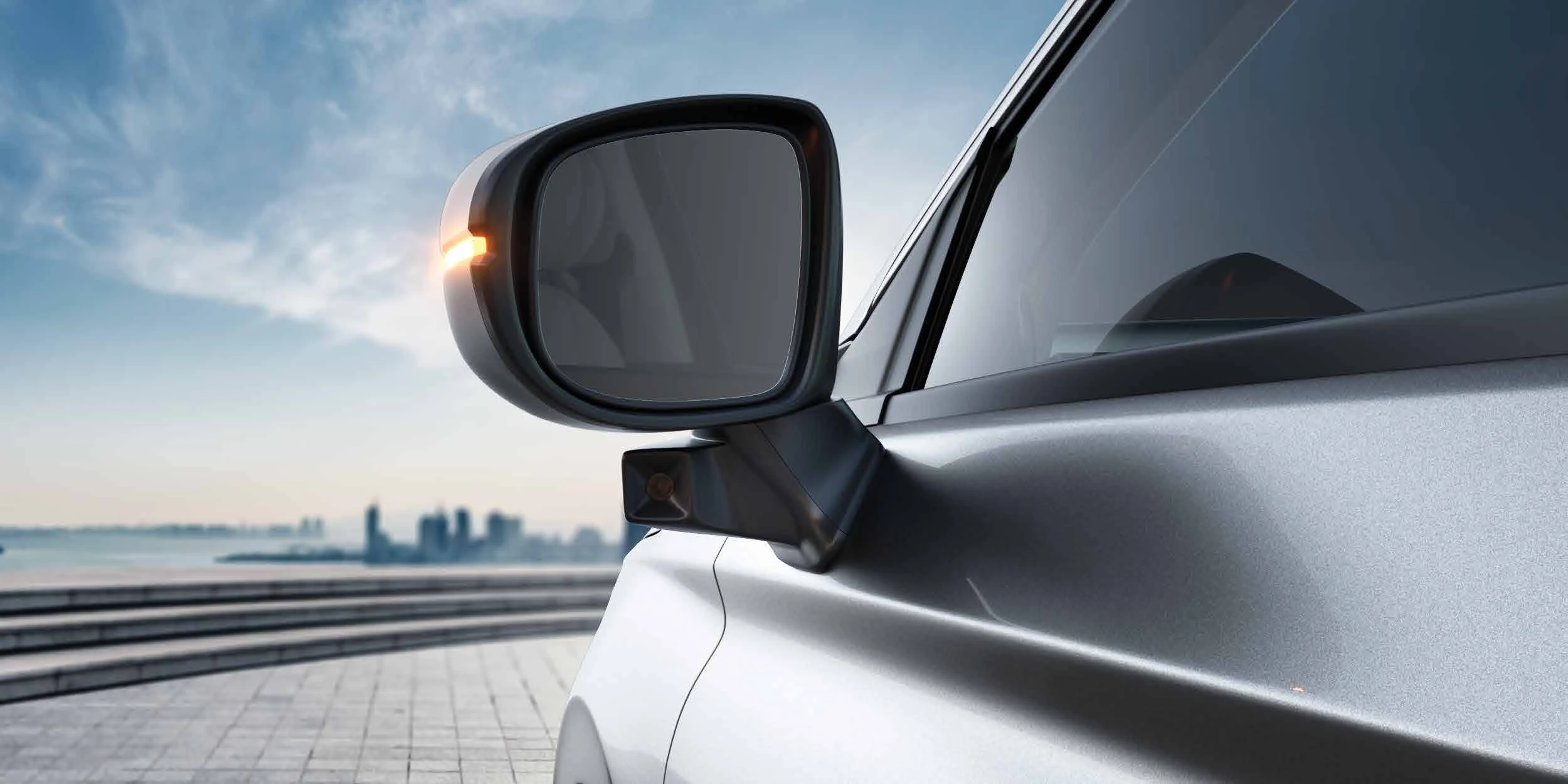 Door Mirror with LaneWatch Camera