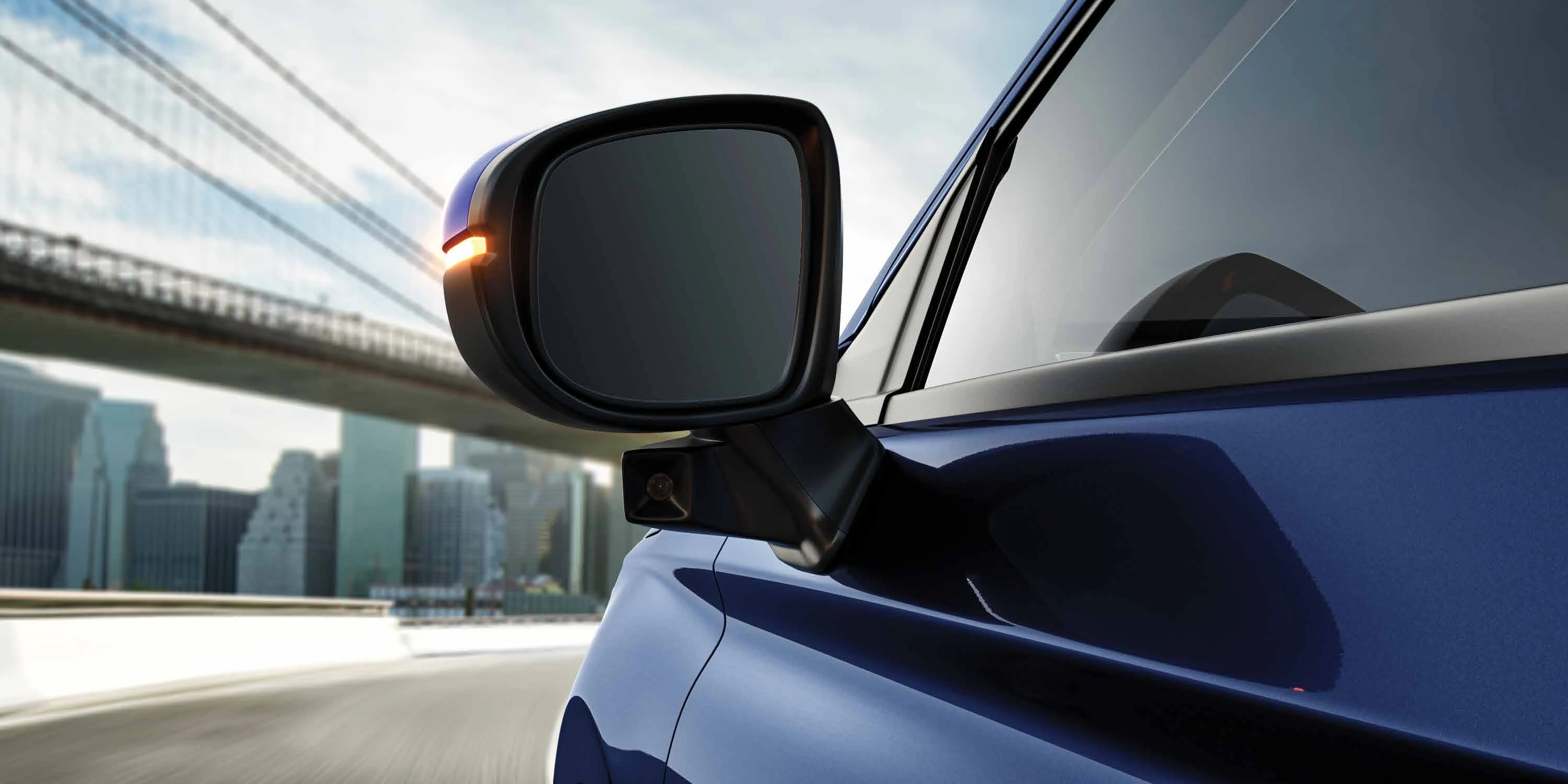 Door Mirror with LaneWatch Camera