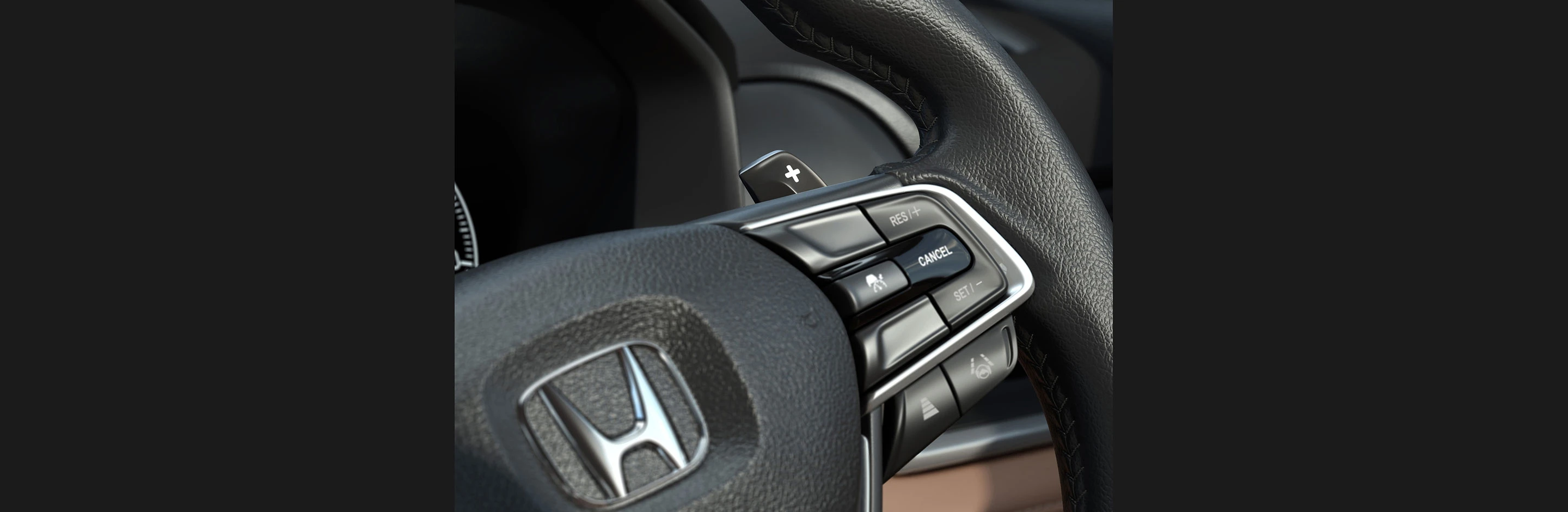 Steering Wheel and Paddle Shifter