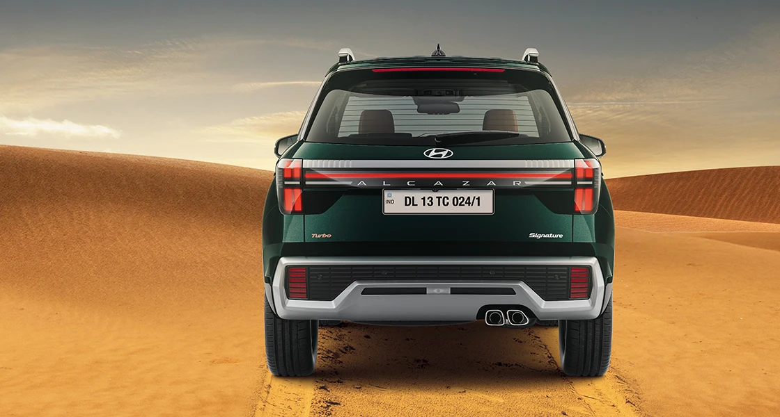 Rear View (Desert)