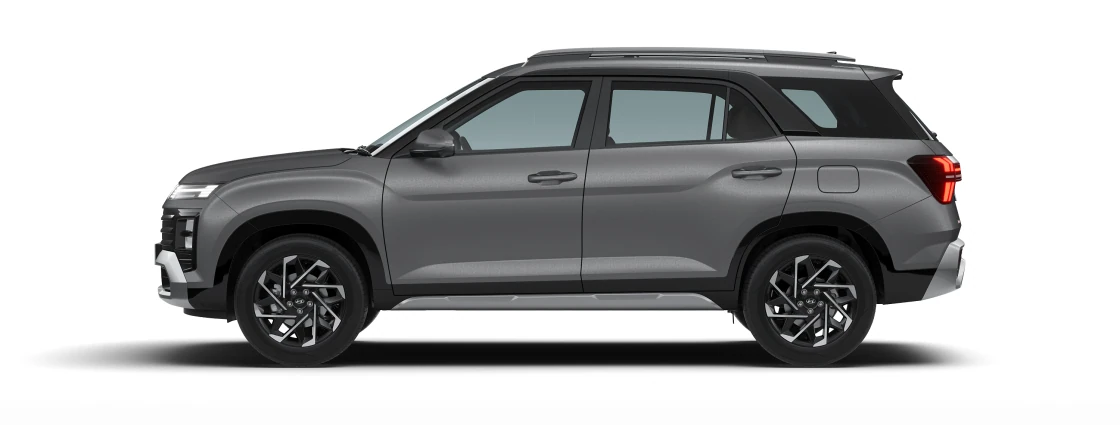 Side Profile (Left)