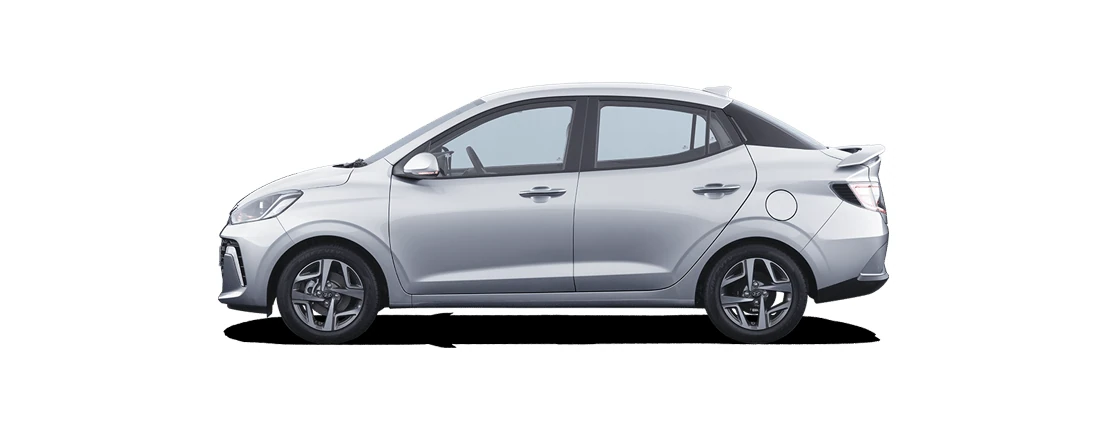 Side Profile (Left)