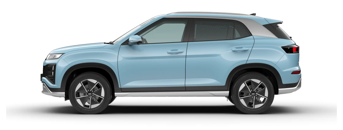 Side Profile (Left)