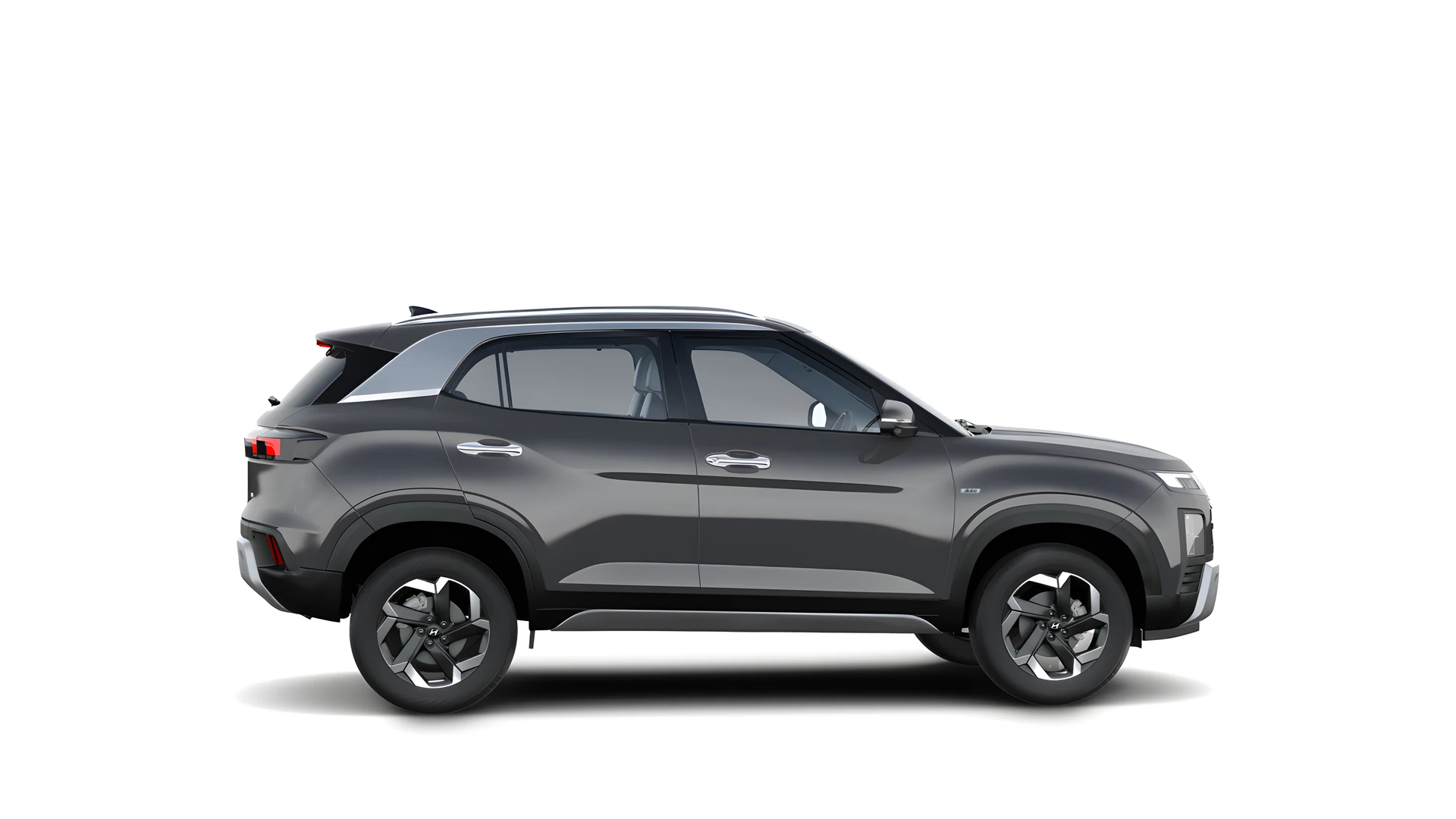 Side Profile (Right)
