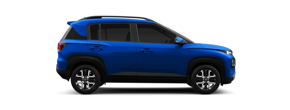 Side Profile (Right)