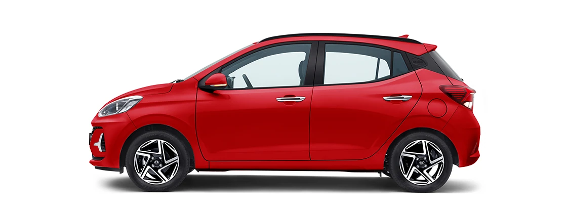 Side Profile (Left)