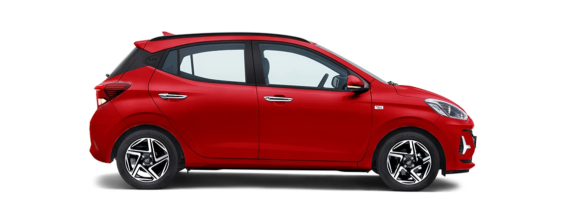 Side Profile (Right)