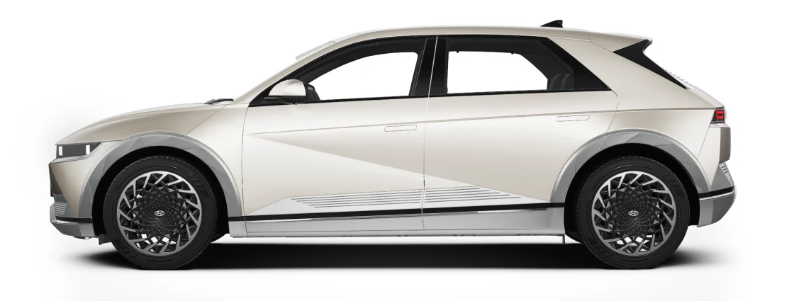 Side Profile (Left)