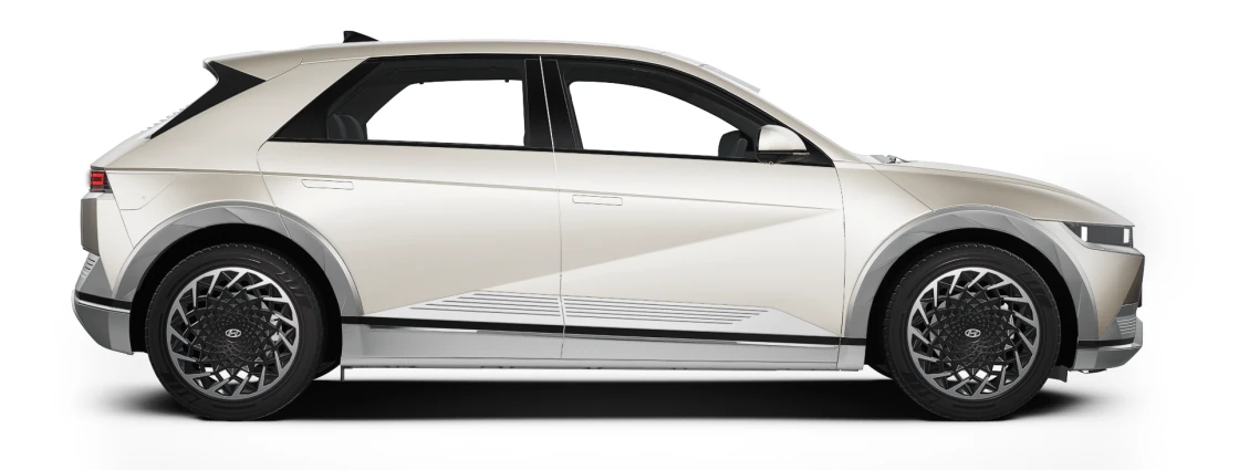 Side Profile (Right)