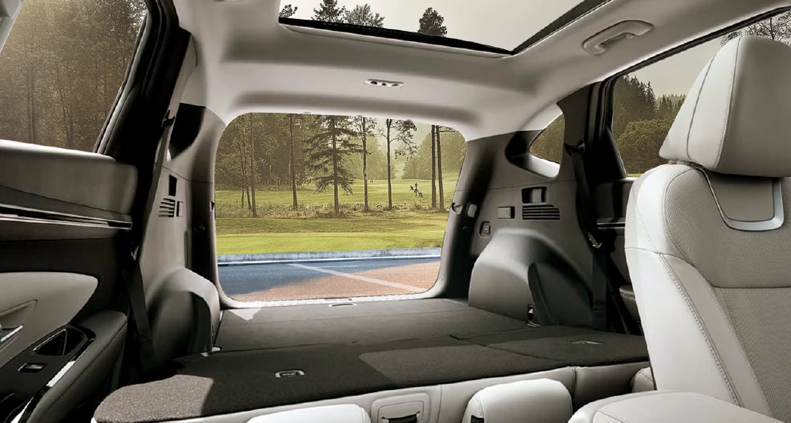 Rear Seats Folded (Cargo Space)