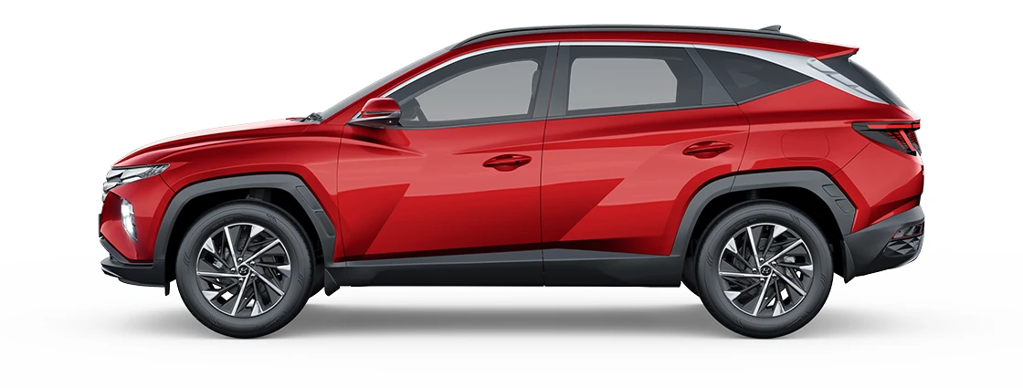 Side Profile (Left)