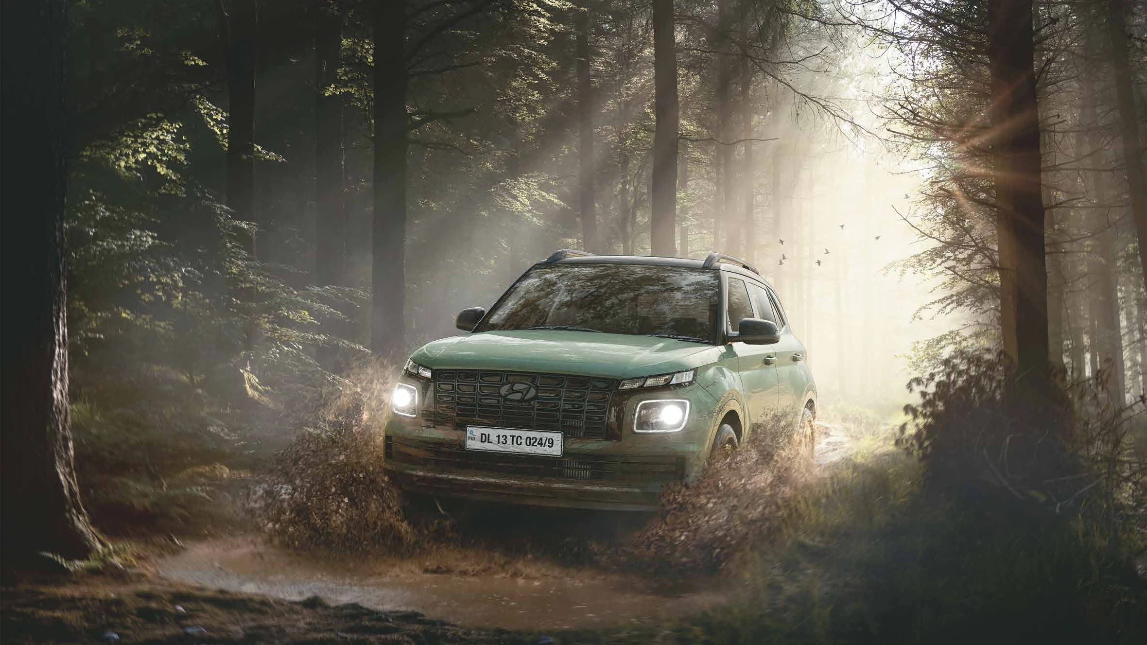 Adventure Edition Front (Forest Trail)