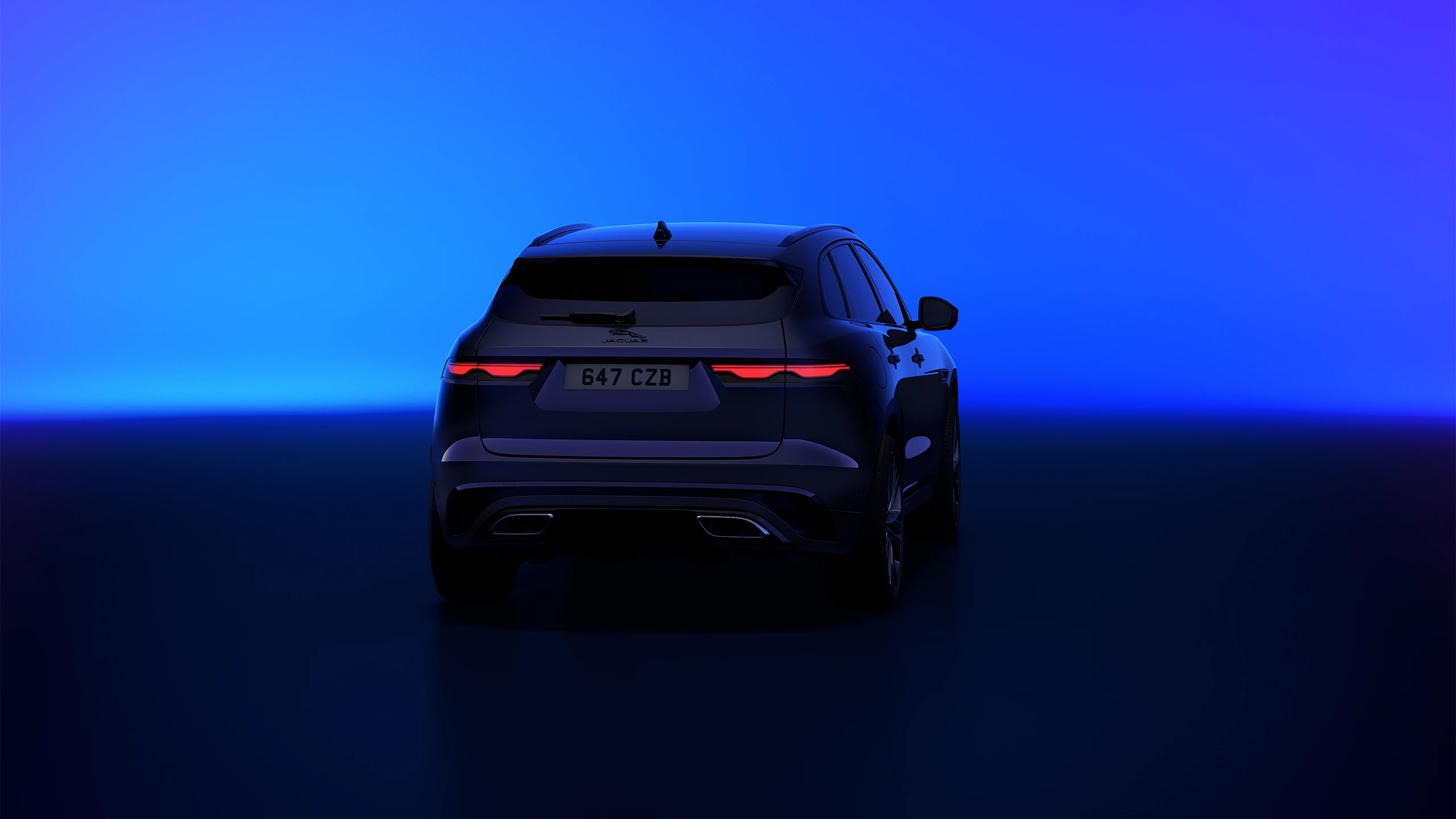 Rear view