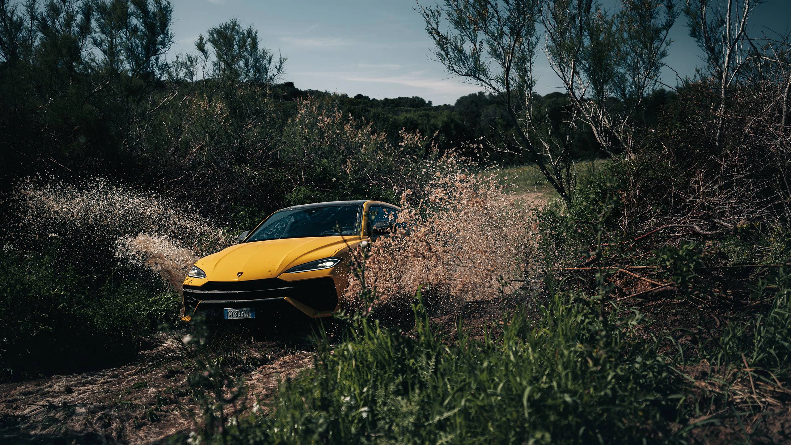 Off-road through the bushes (yellow)