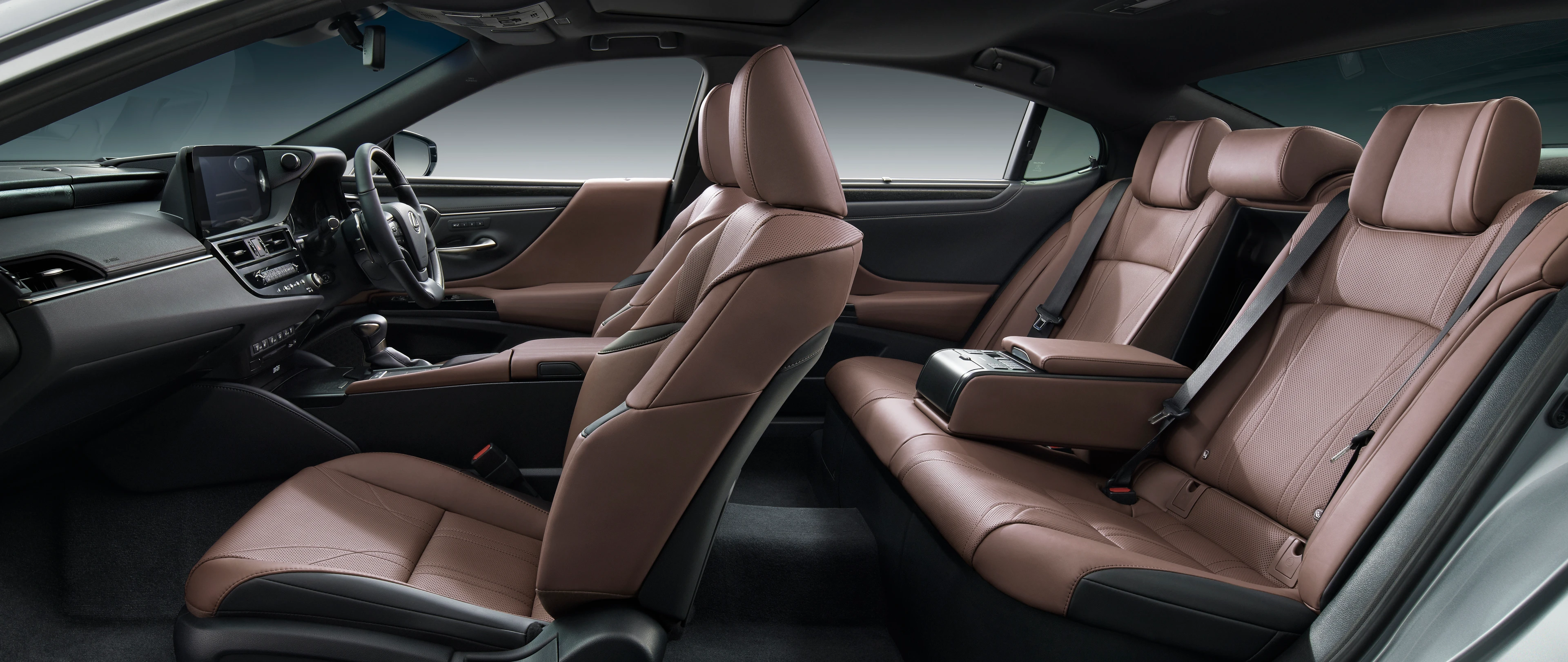 Cabin: Front and Rear Seats