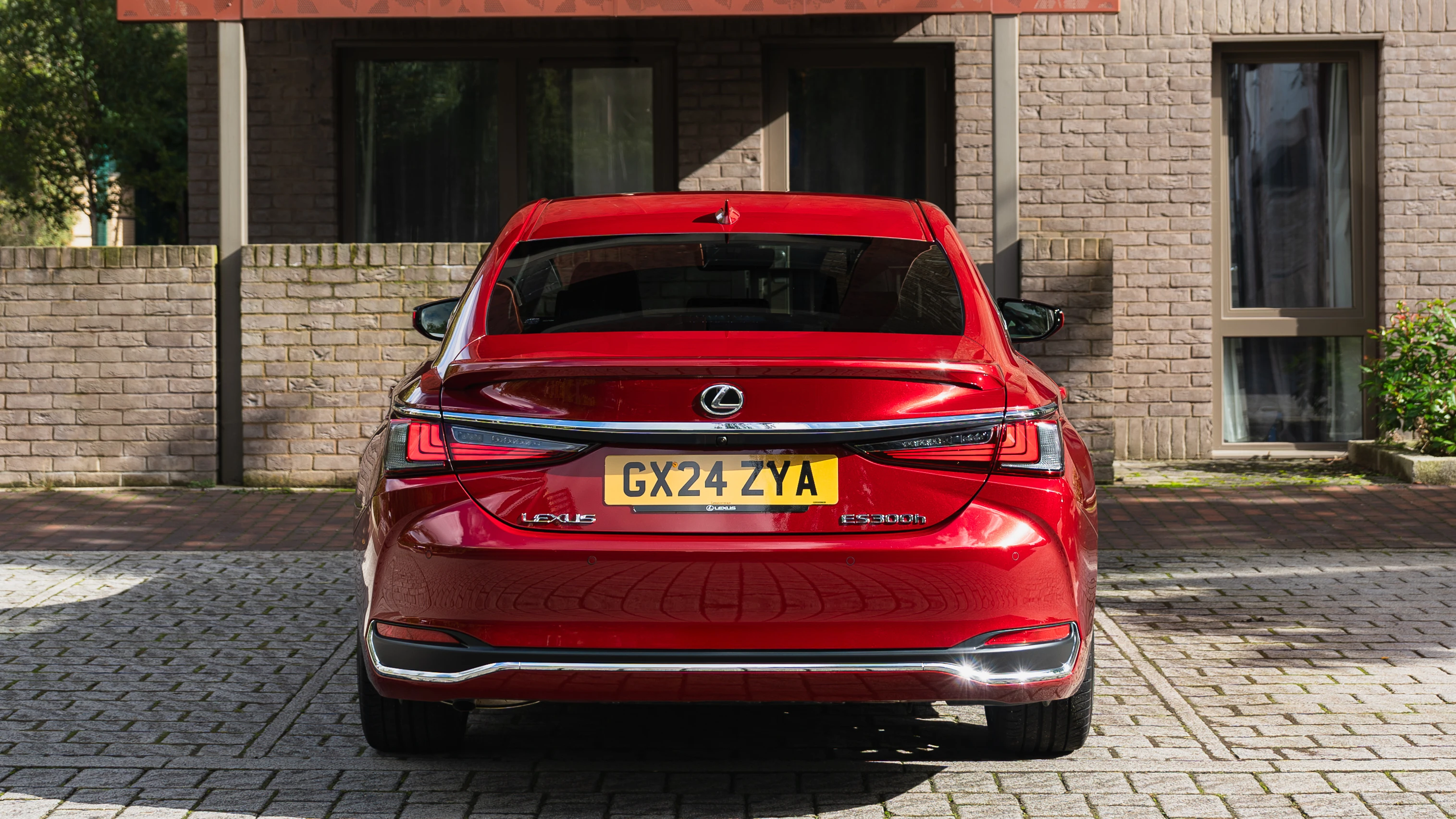 Rear View
