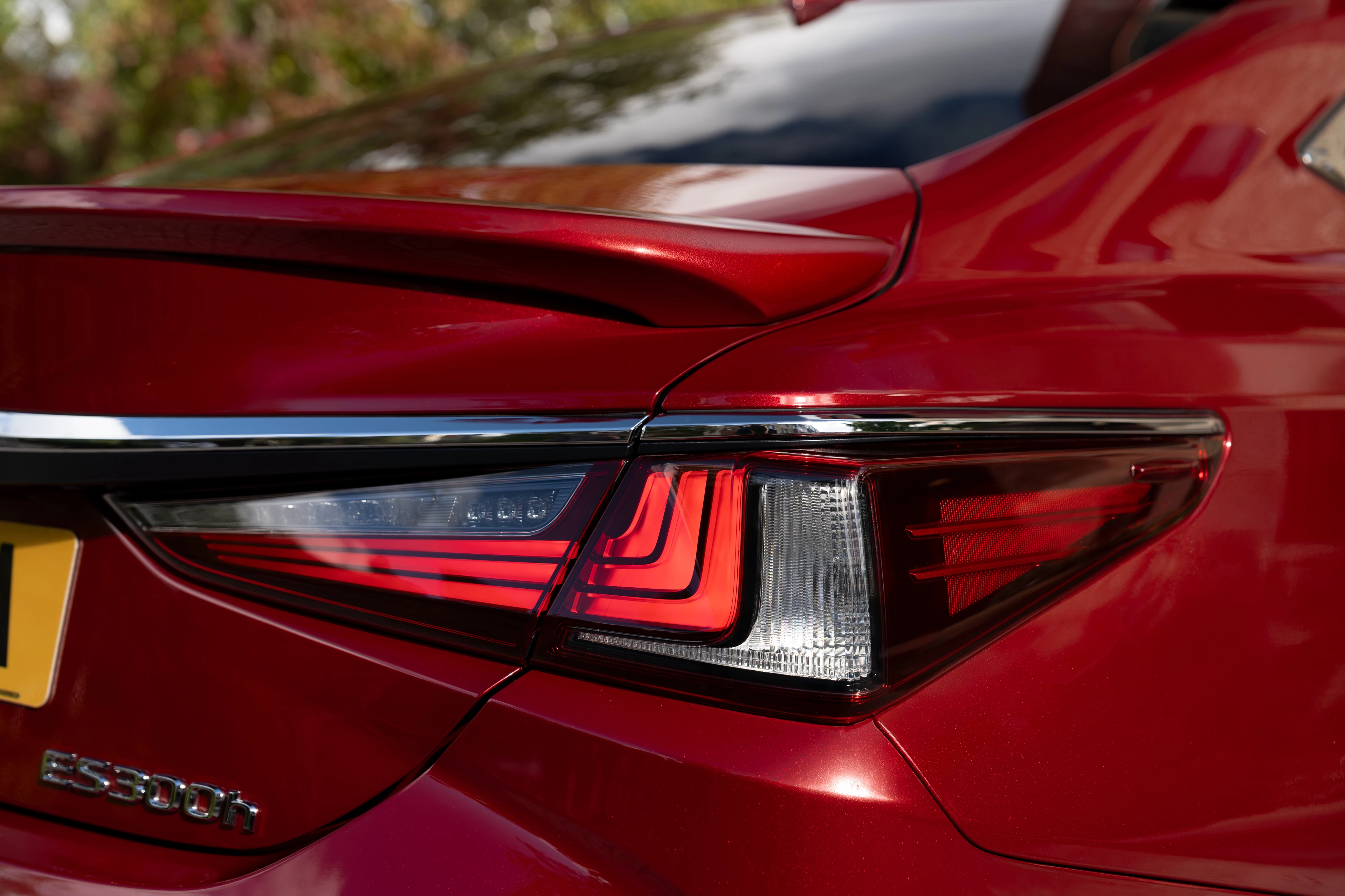 Tail Lamp and ES 300h Badge