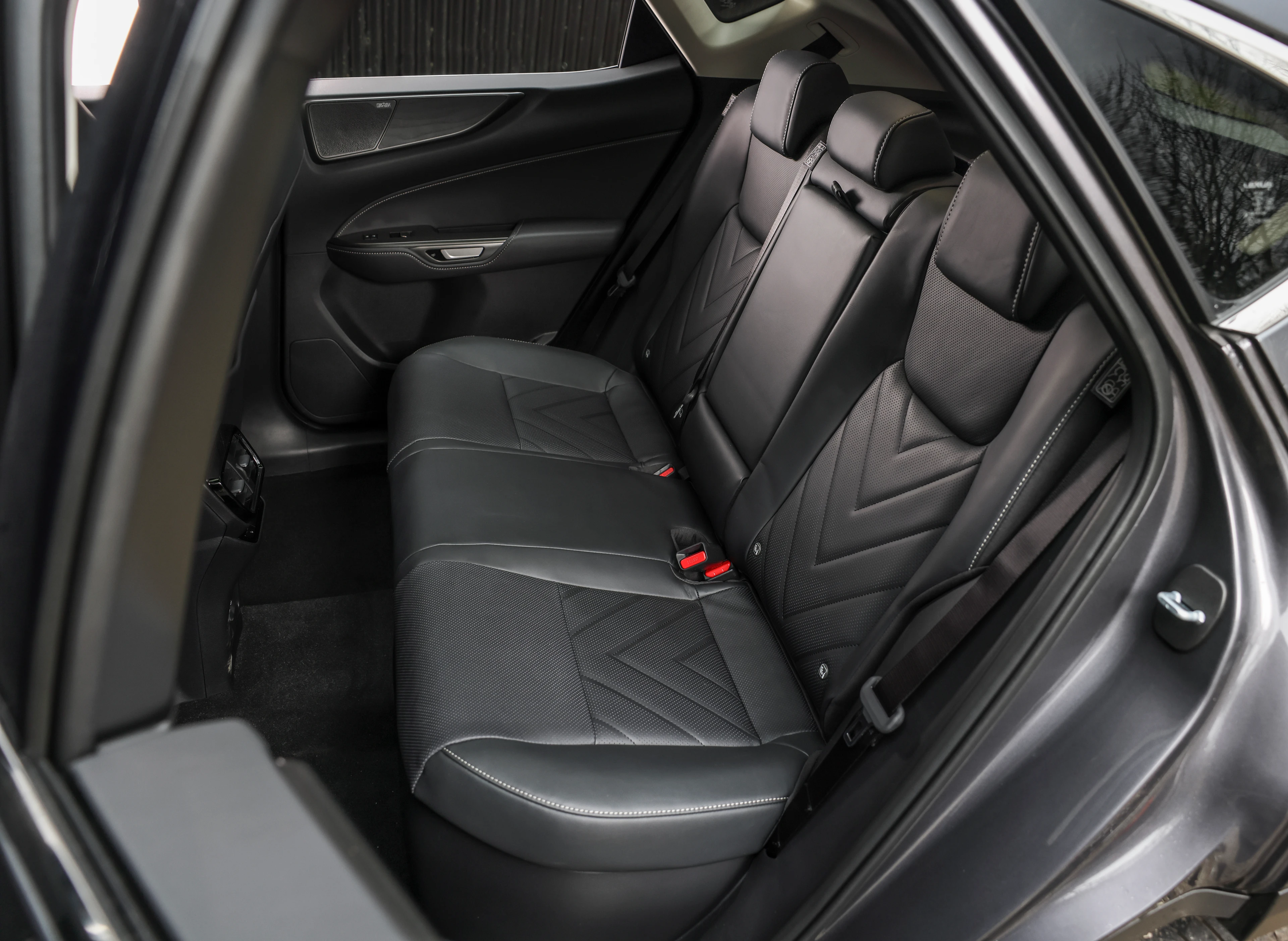 Rear Seats
