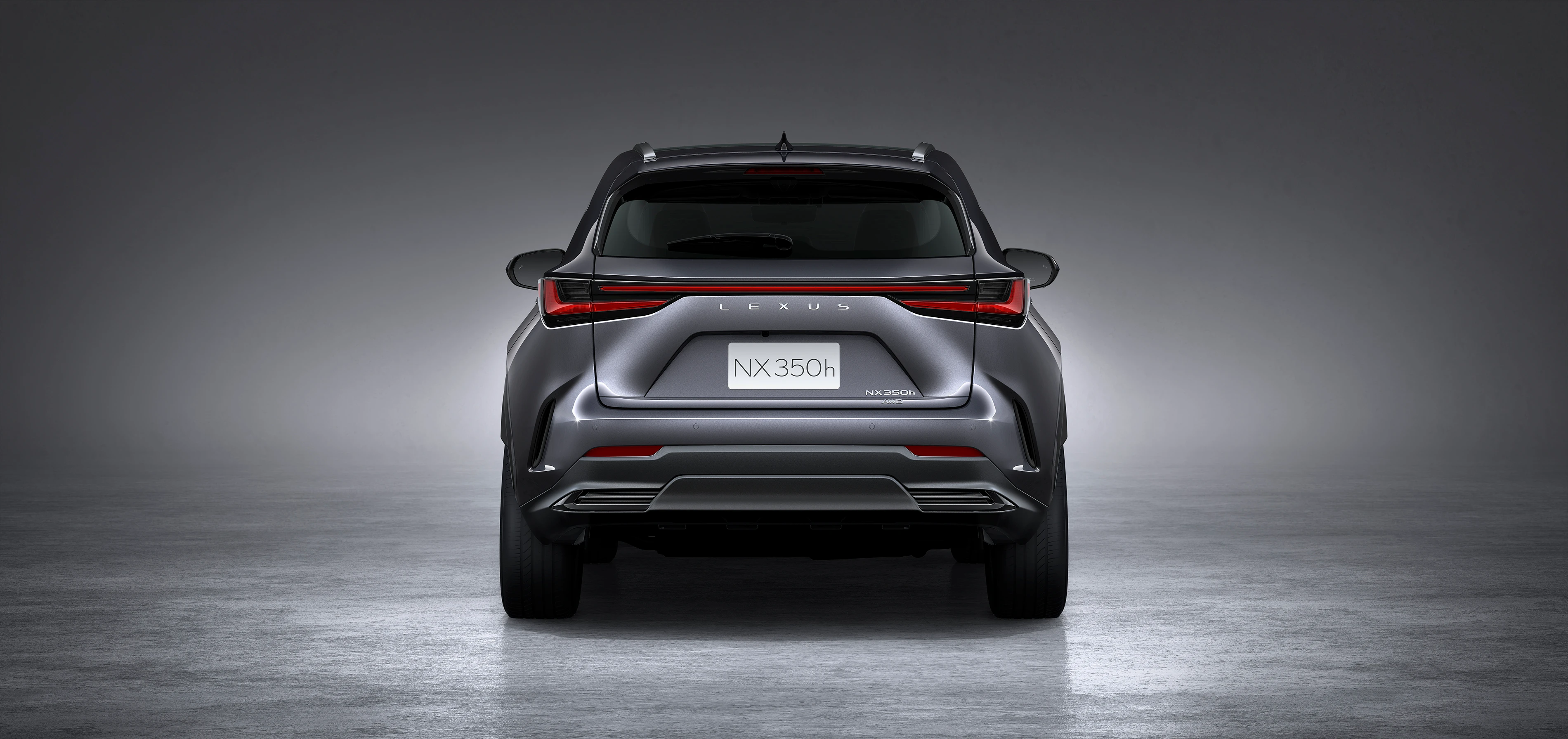 Rear View