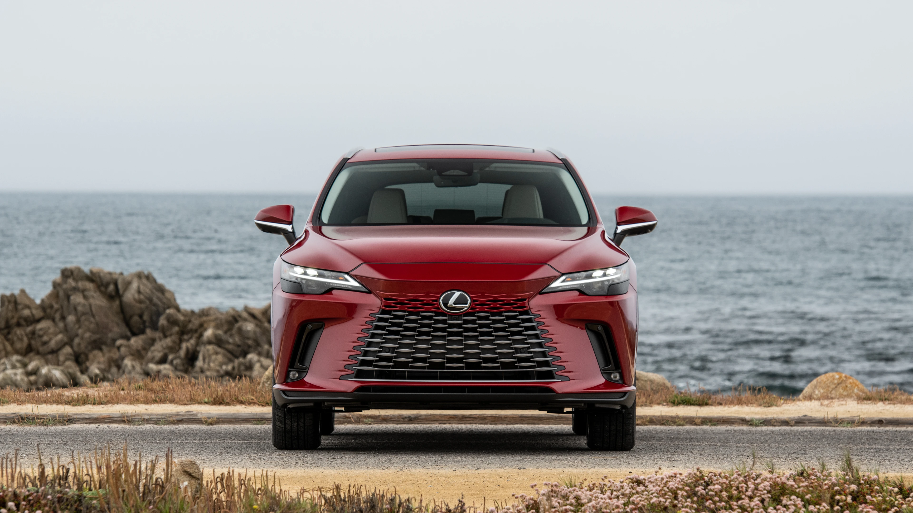 Front View (RX 350h)