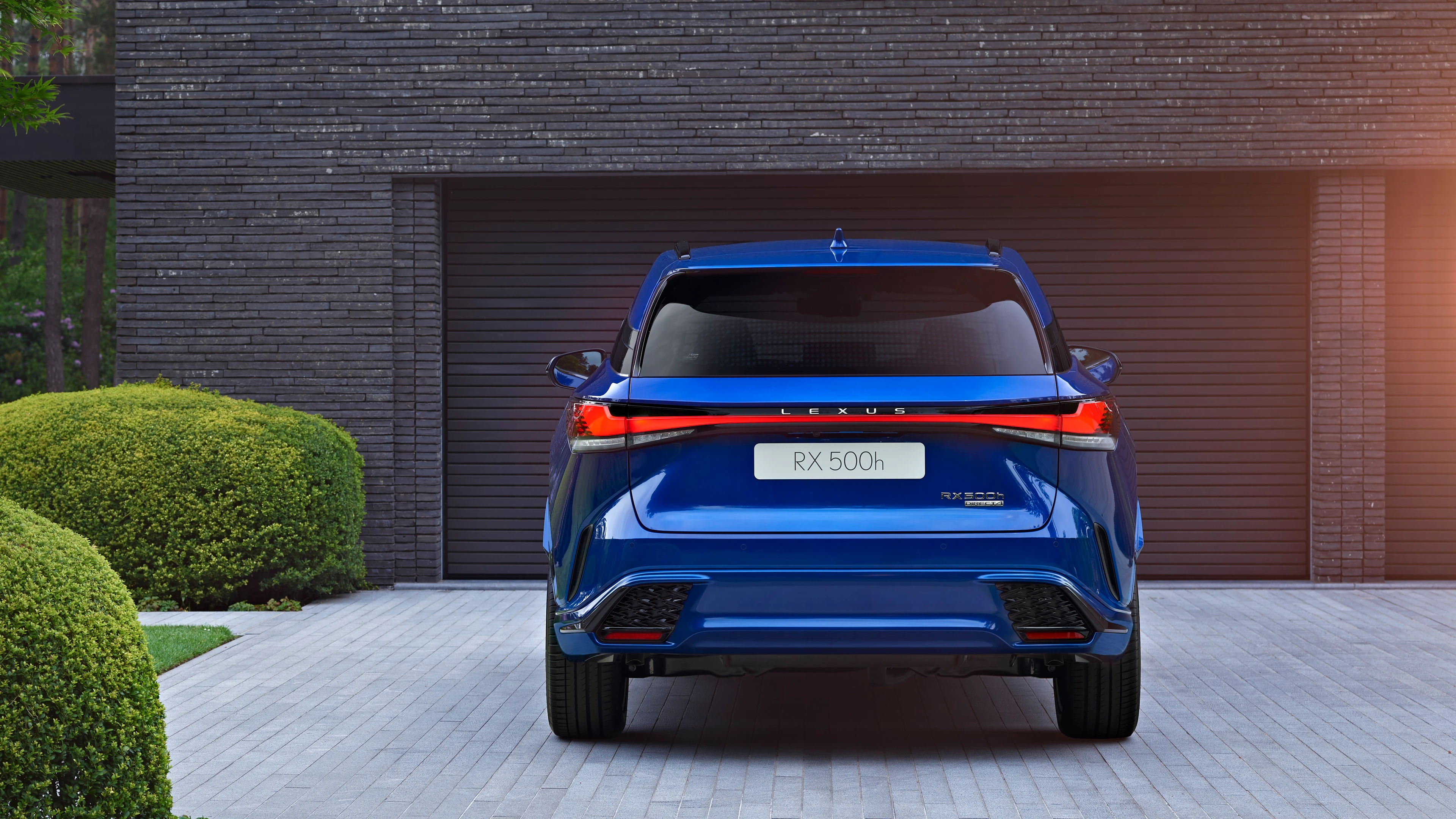 Rear View