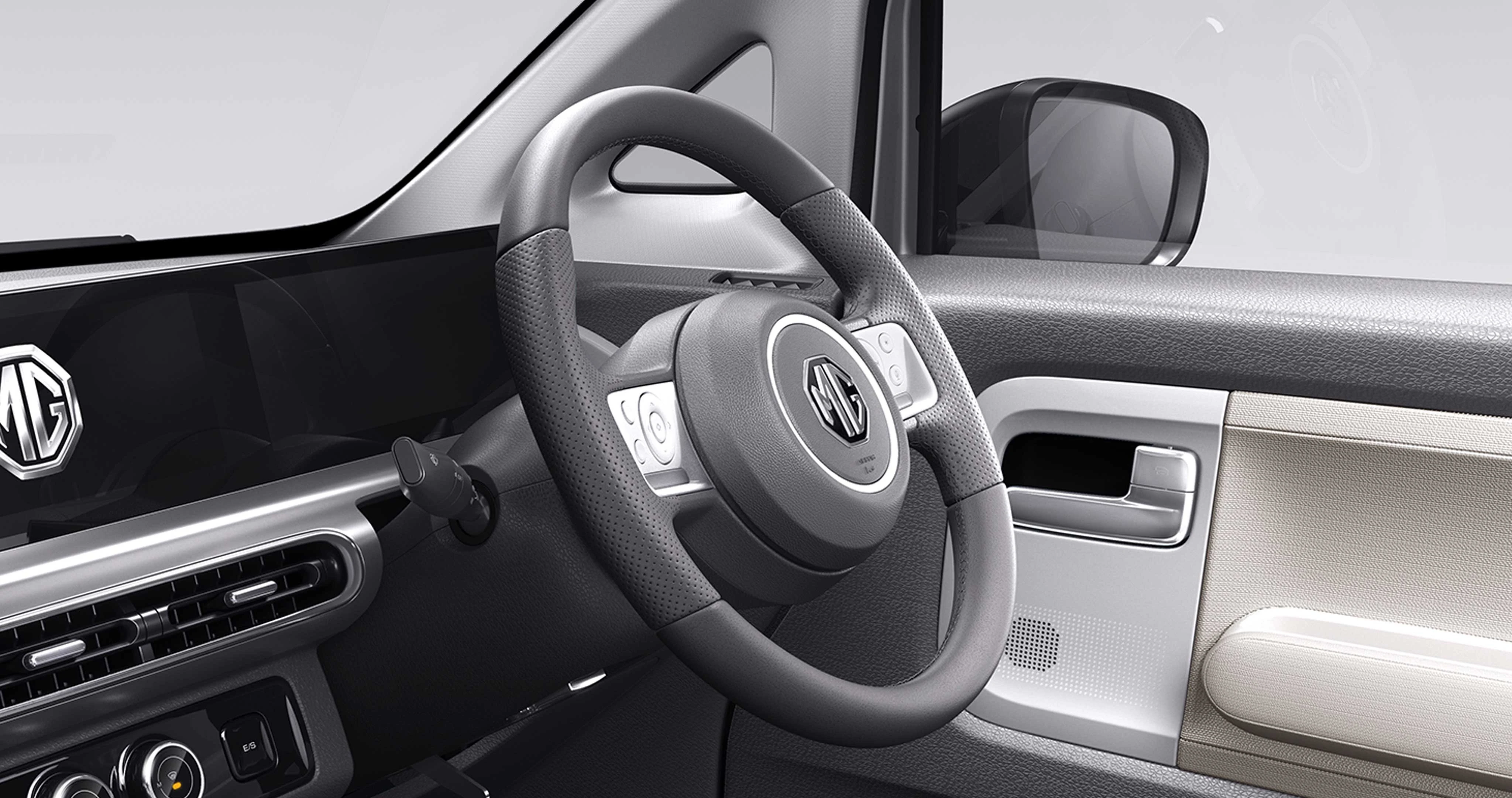 Steering Wheel and Door Trim
