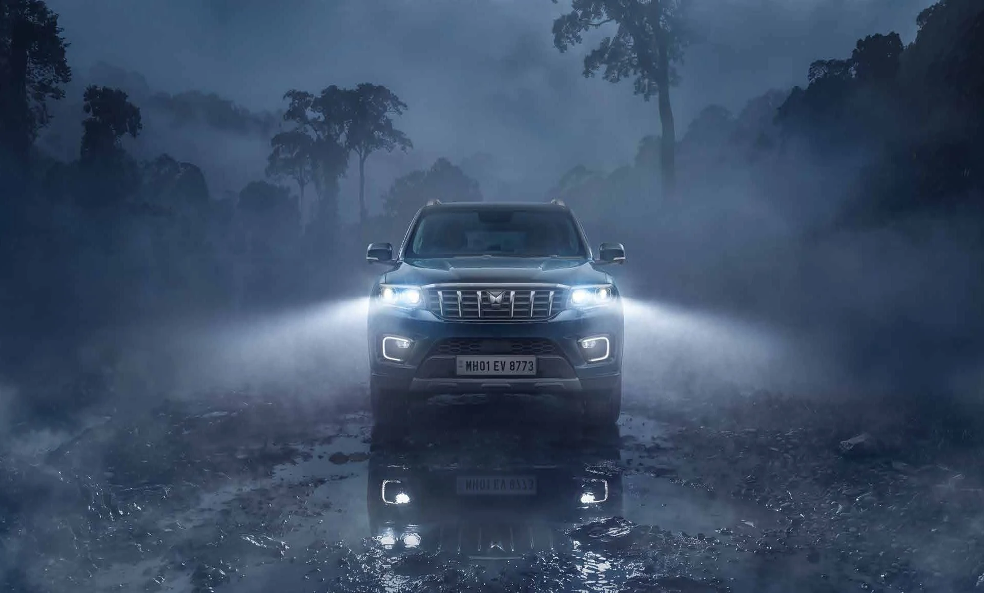 Front View (Misty Trail)