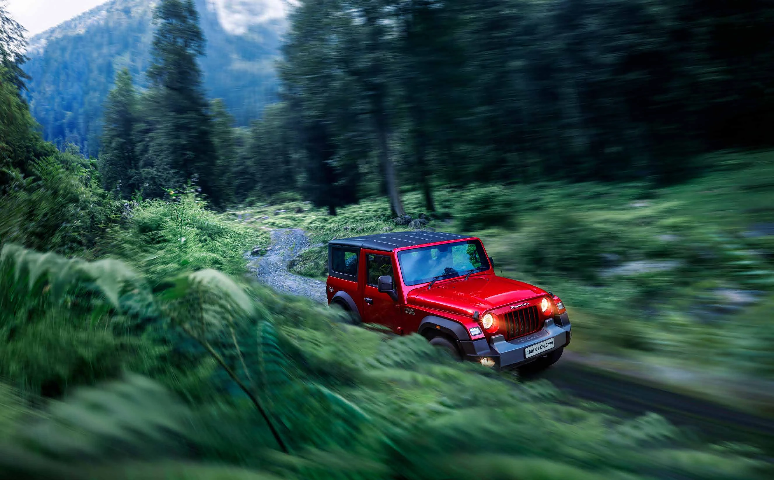 Driving: Forest Trail